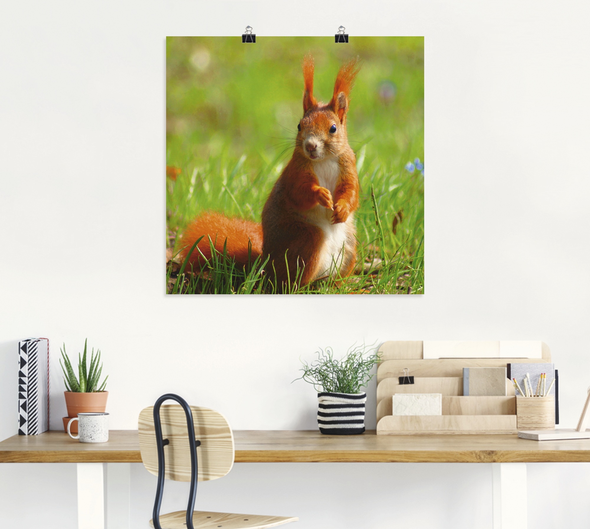 Artland Poster »Eichhörnchen Kontakt«, Wildtiere, (1 St.), als Leinwandbild, Wandaufkleber oder Poster in versch. Größen
