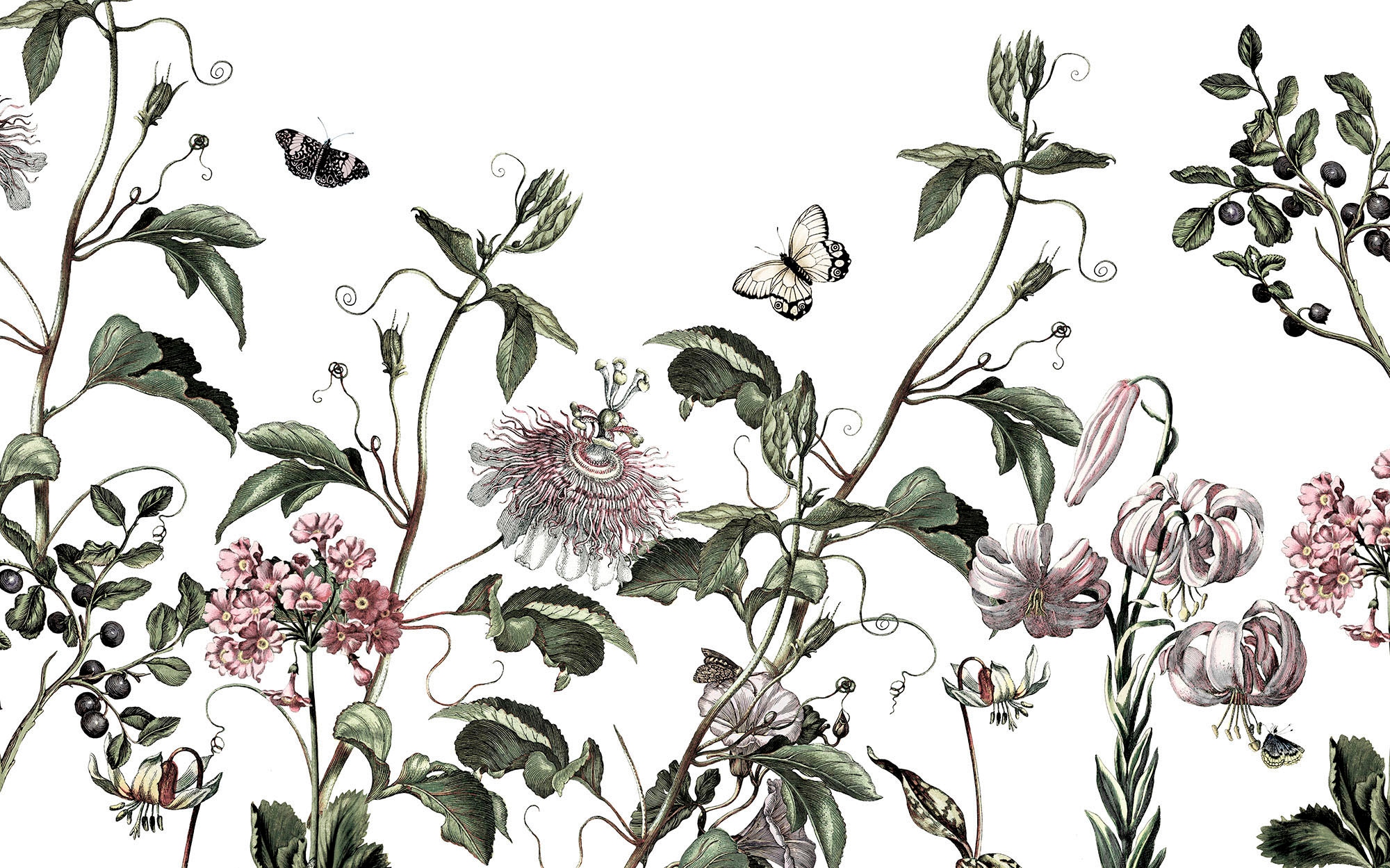 Komar Fototapete »Vlies Fototapete - Paradis de Papillons - Größe 400 x 250 cm«, bedruckt