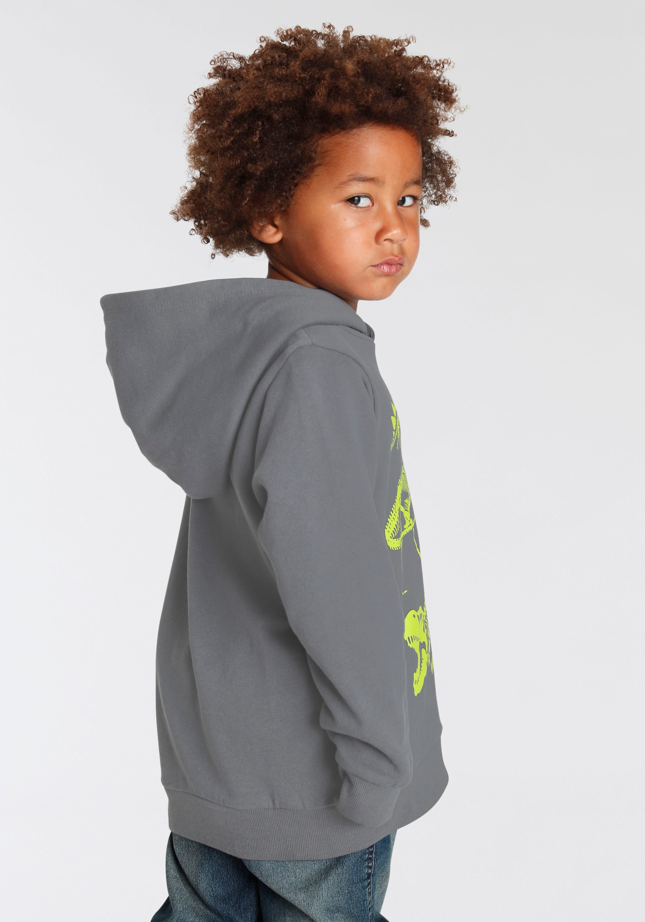 KIDSWORLD Kapuzensweatshirt »DINO«, Langarm, Basic-Passform, mit stylischem Druck, aus Baumwolle