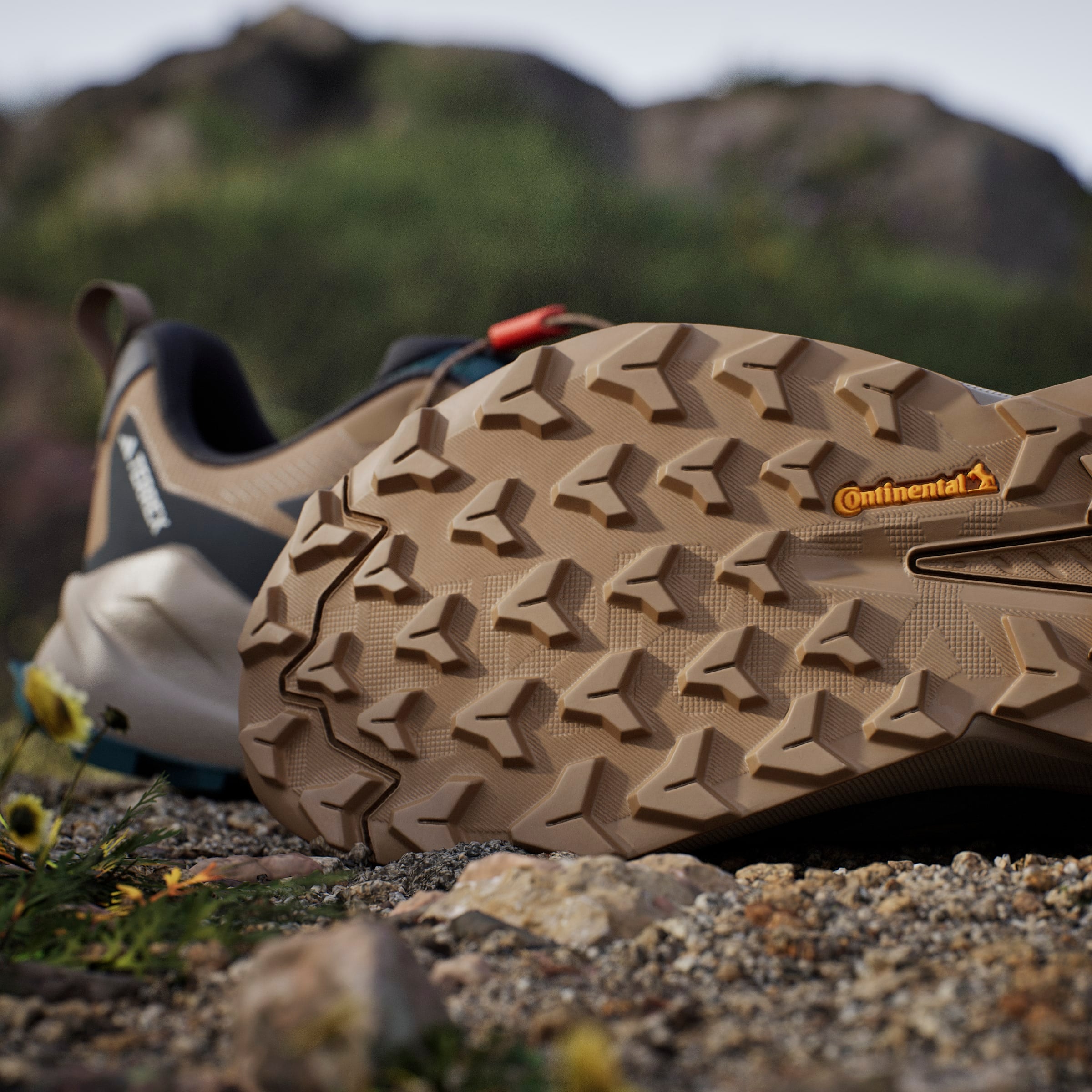 adidas TERREX Wanderschuh »TERREX TRAILMAKER 2 GORE-TEX SPEED LACE«  wasserdicht