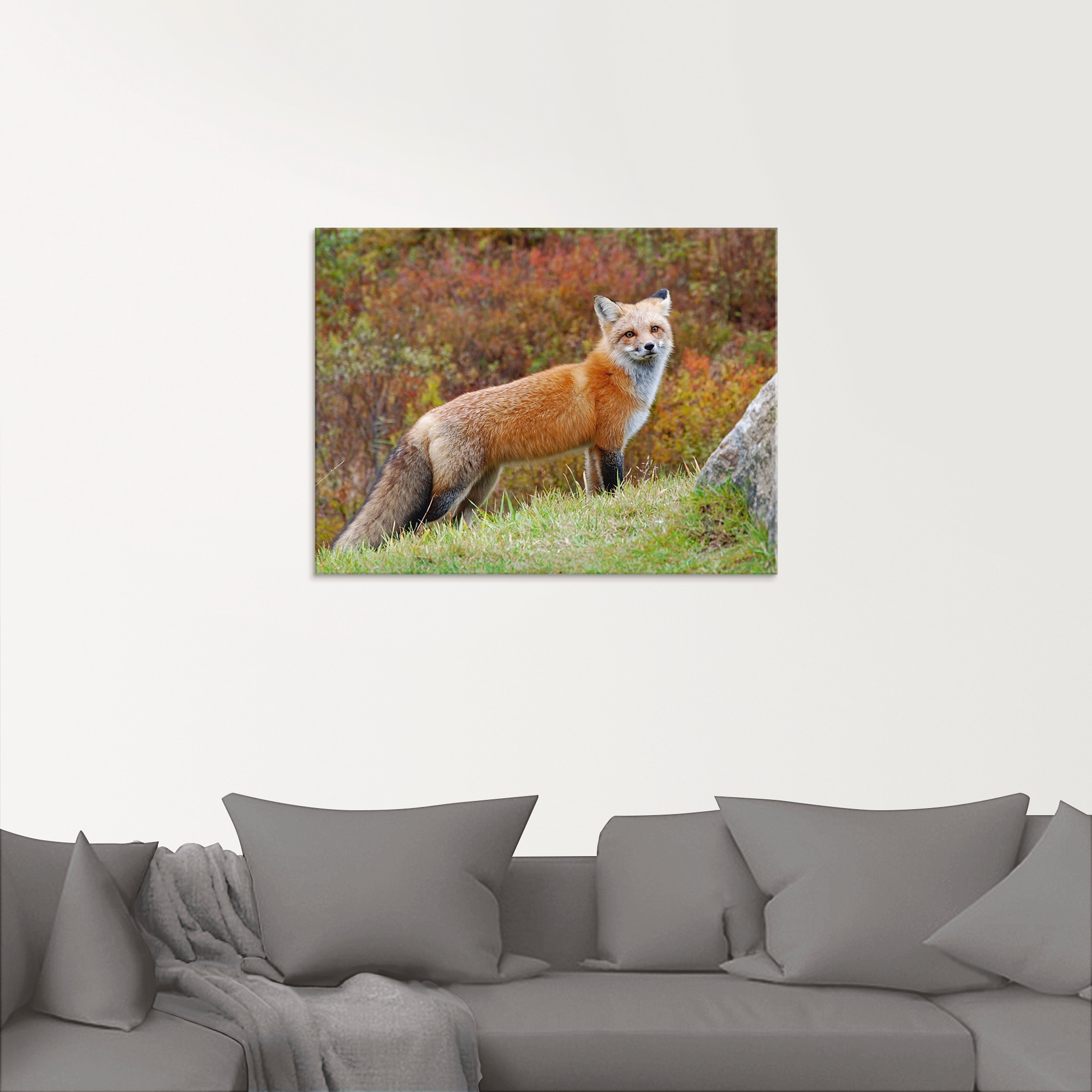 Artland Glasbild »Fuchs I«, Wildtiere, (1 St.), in verschiedenen Größen