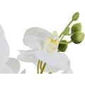 Leonique Kunstpflanze »Orchidee«, (1 St.), Kunstorchidee, im Topf