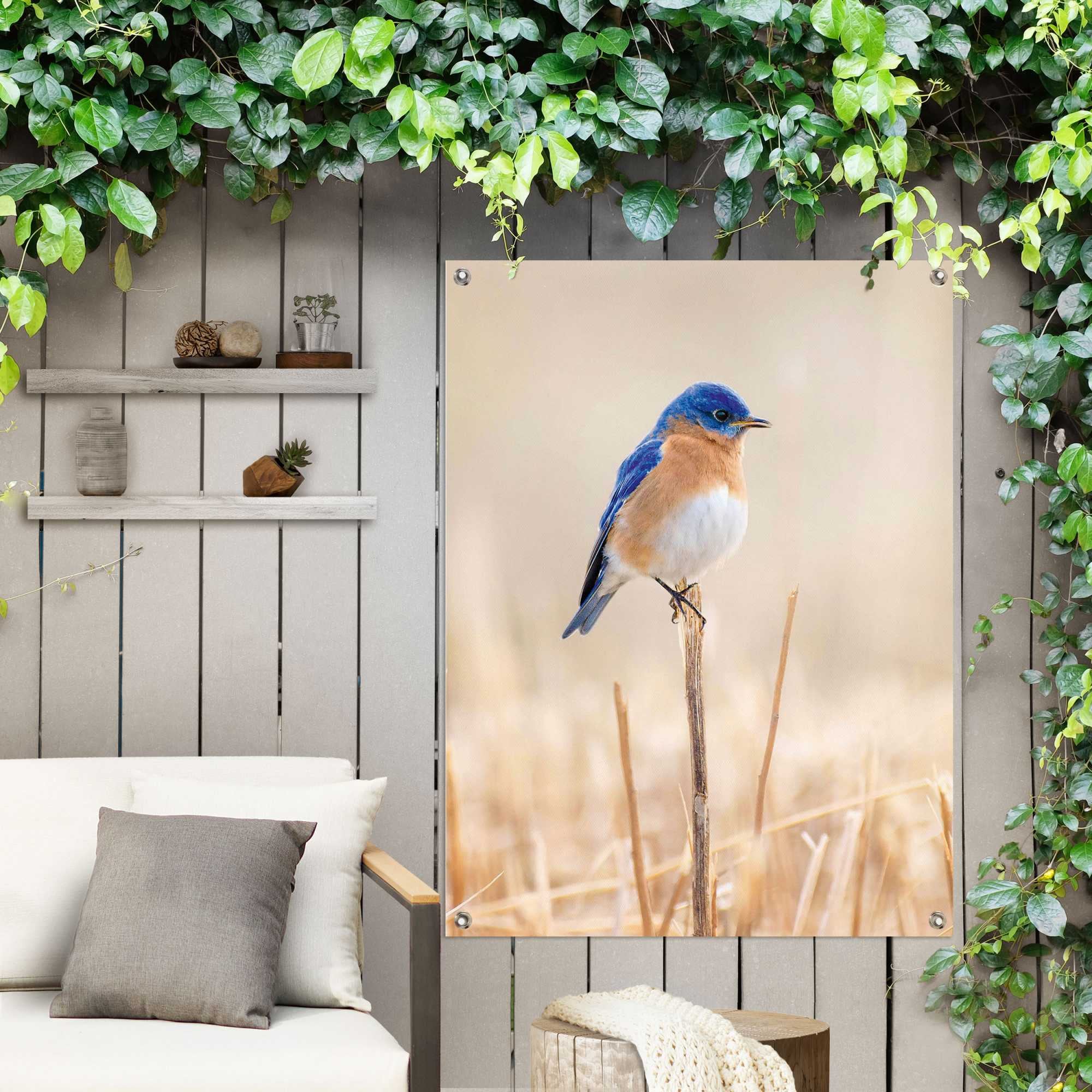 Reinders! Poster »Blauer Vogel«, Outdoor für Garten oder Balkon