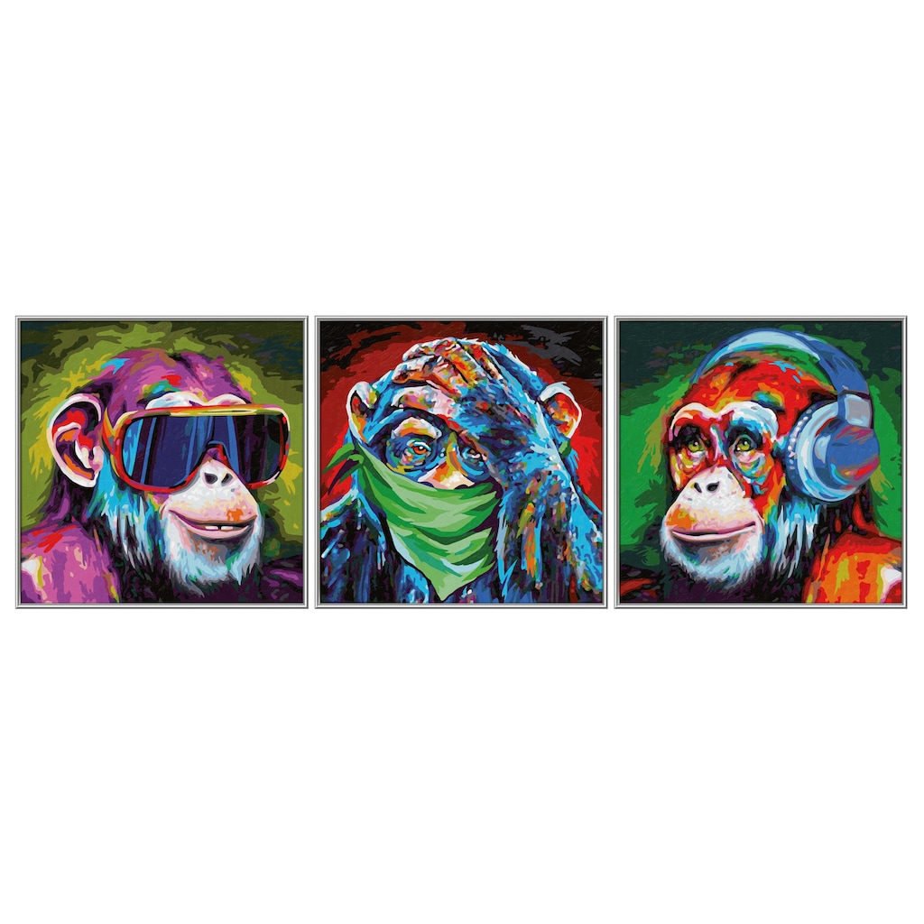 Schipper Malen nach Zahlen »Meisterklasse Triptychon - Die 3 Affen«