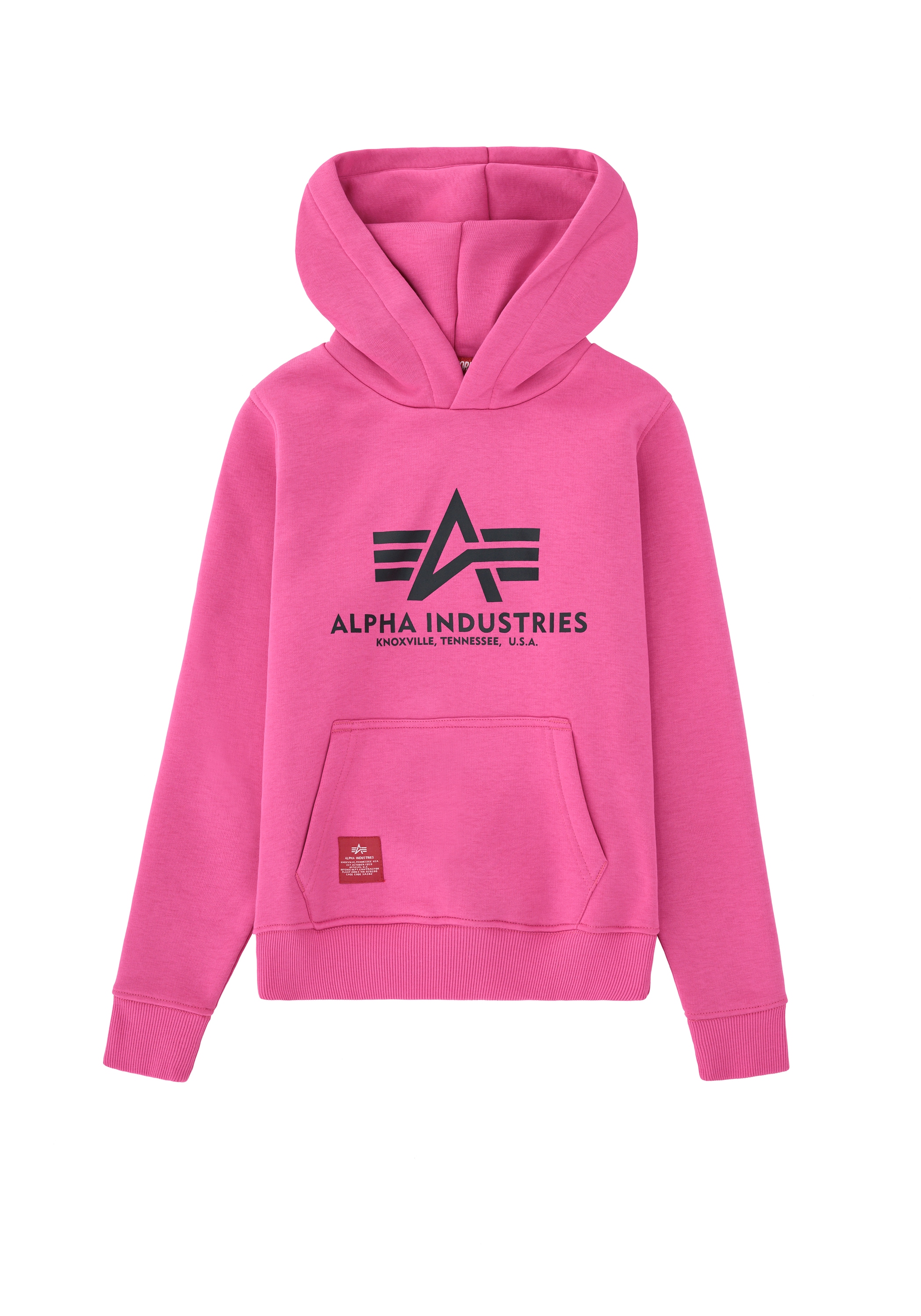 Alpha Industries Hoodie »Alpha Industries Kids - Hoodies Basic Hoodie Kids/Teens«