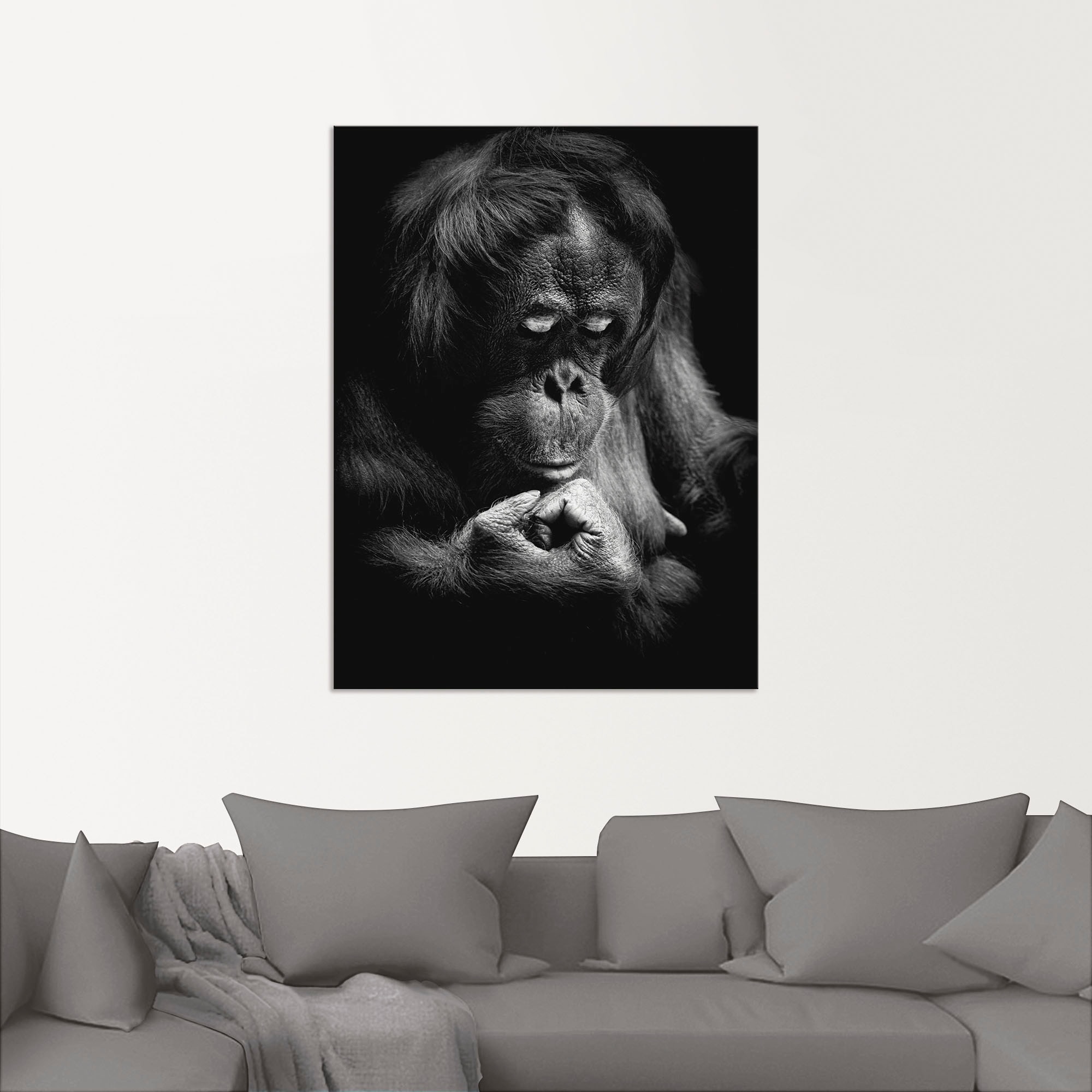 Artland Alu-Dibond-Druck »Orang Utan«, Affenbilder, (1 St.), für Innen- und Außenbereich geeignet, Outdoorbild