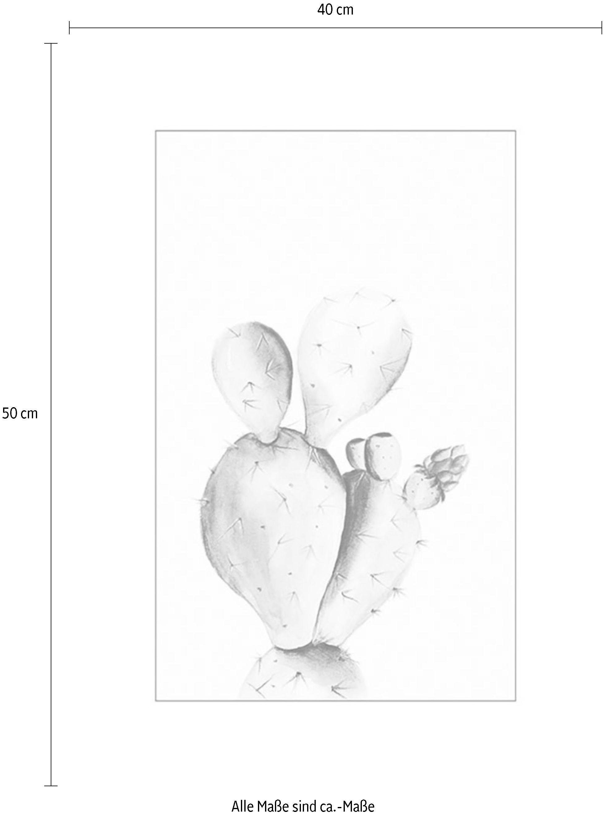 Komar Poster »Prickly Pear Watercolor«, Pflanzen-Blätter, (1 St.),  Kinderzimmer, Schlafzimmer, Wohnzimmer bestellen online bei OTTO