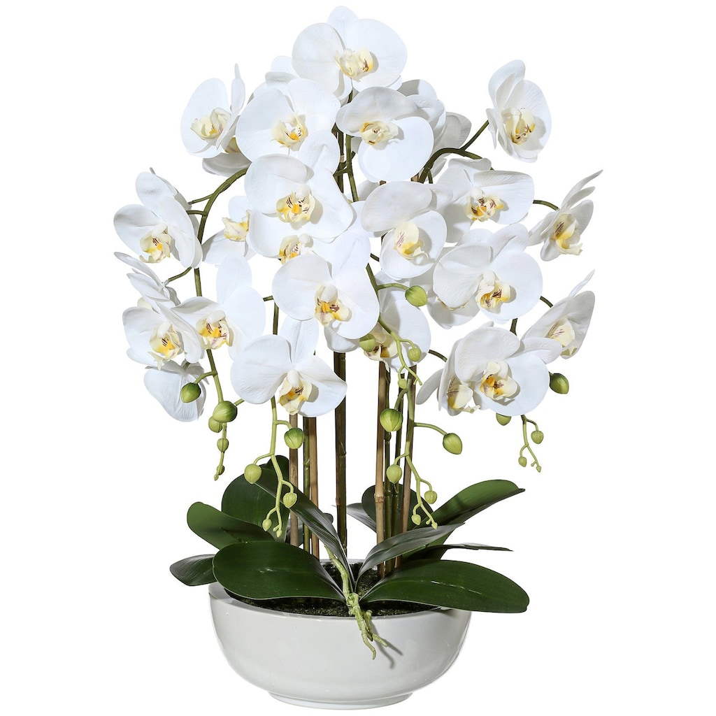 Creativ green Kunstpflanze »Orchidee Phalaenopsis«, in Keramikschale