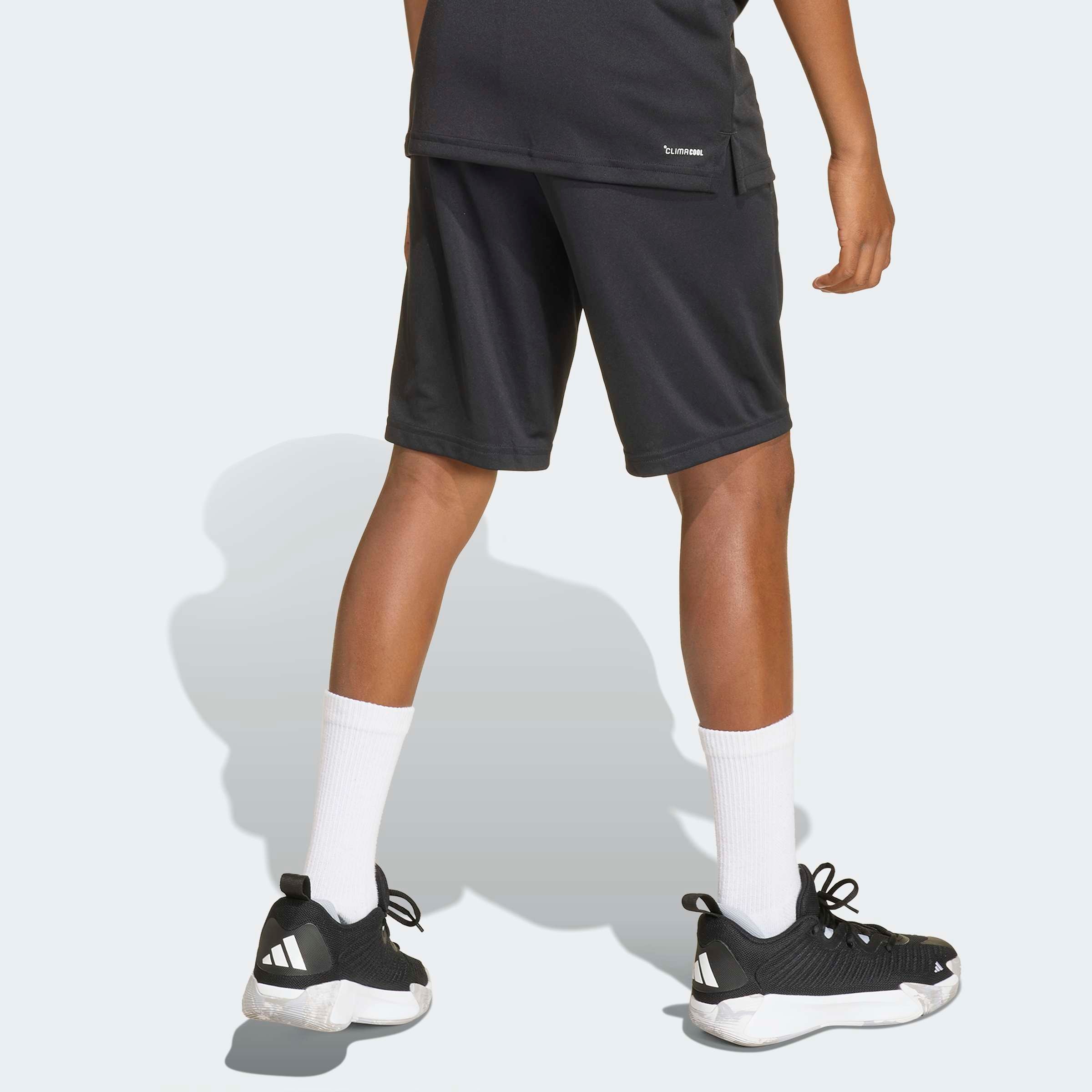 adidas Sportswear Shorts »TRAIN ESSENTIALS BIG LOGO«