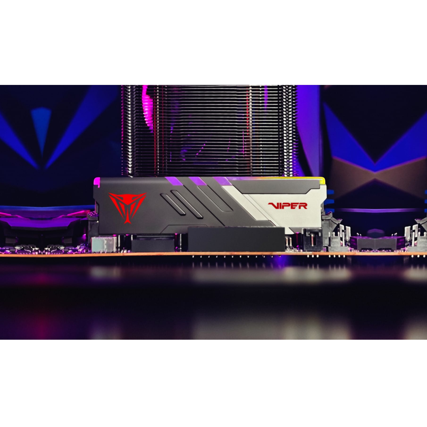 Patriot Arbeitsspeicher »Viper Venom«