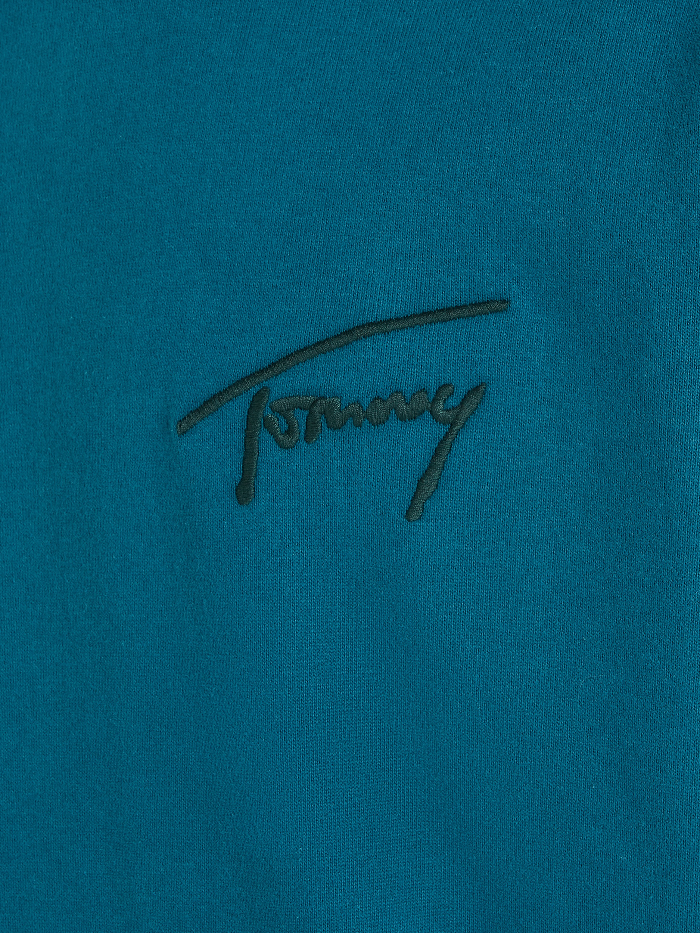 Tommy Jeans Kapuzensweatshirt »TJM RLX SIGNATURE HOODIE EXT«, mit aufgesticktem Signatur-Logo