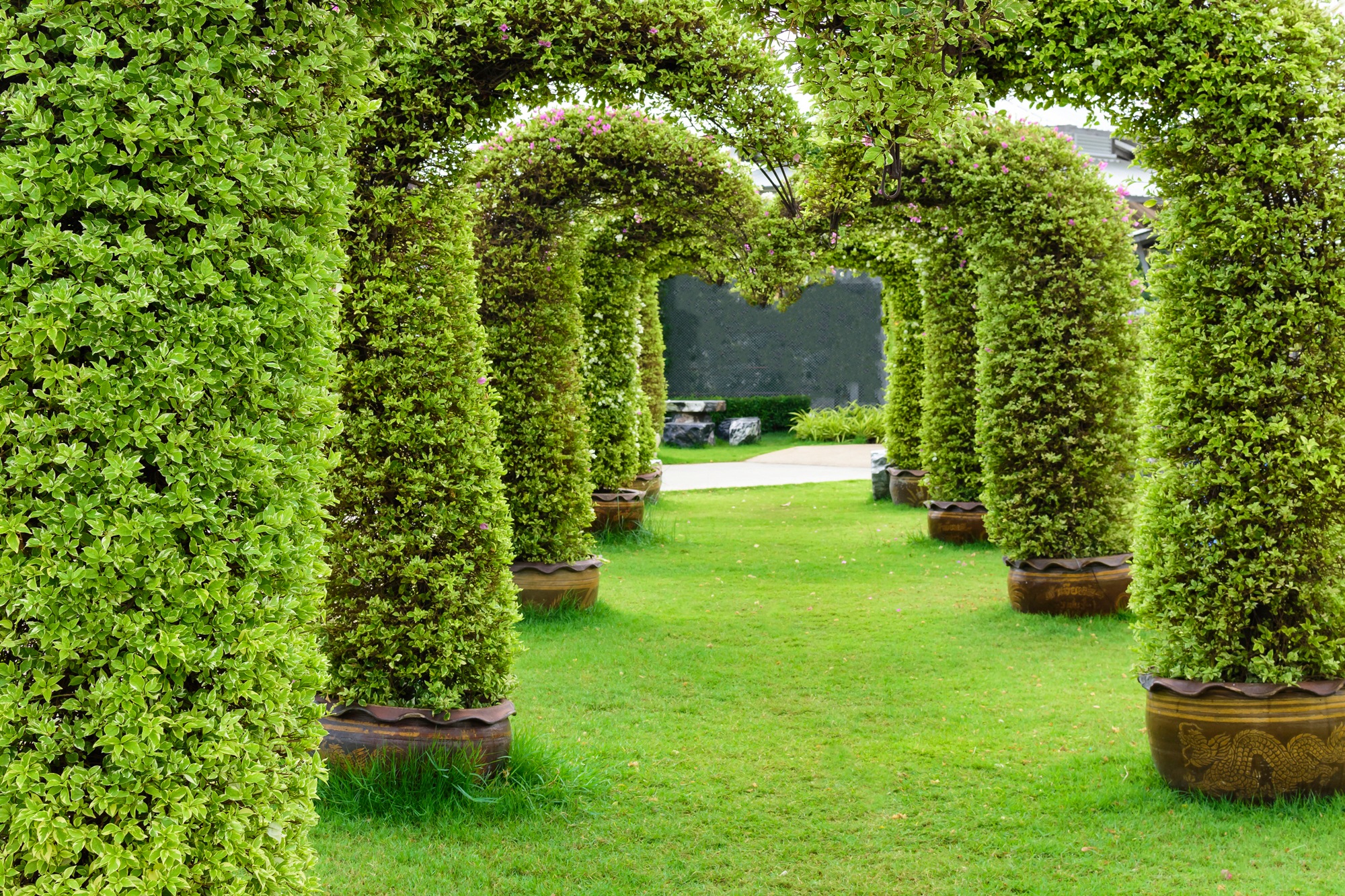 Papermoon Fototapete »GARTEN-ALLEE BLUMEN BÄUME PFLANZEN STEINE WALD PERGOLA«, Vliestapete, hochwertiger Digitaldruck, inklusive Kleister