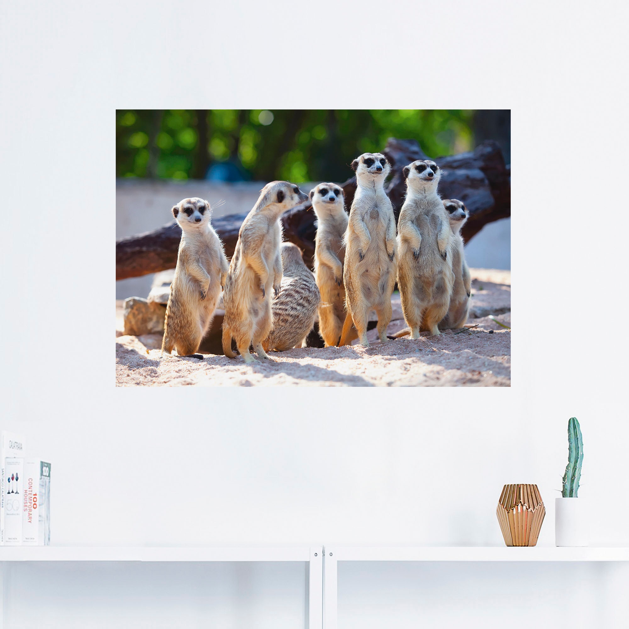 Artland Wandbild »Erdmännchenfamilie«, Wildtiere, (1 St.), als Poster, Wandaufkleber in verschied. Größen