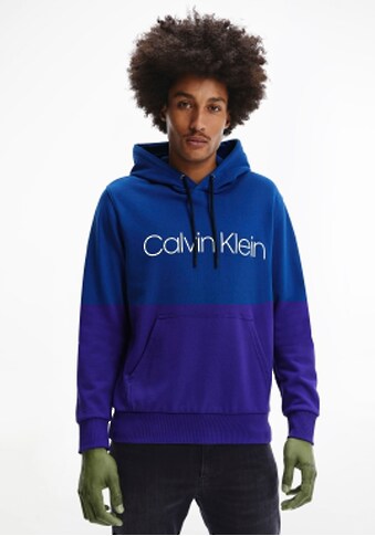 Calvin Klein Hoodie »Logo« kaufen