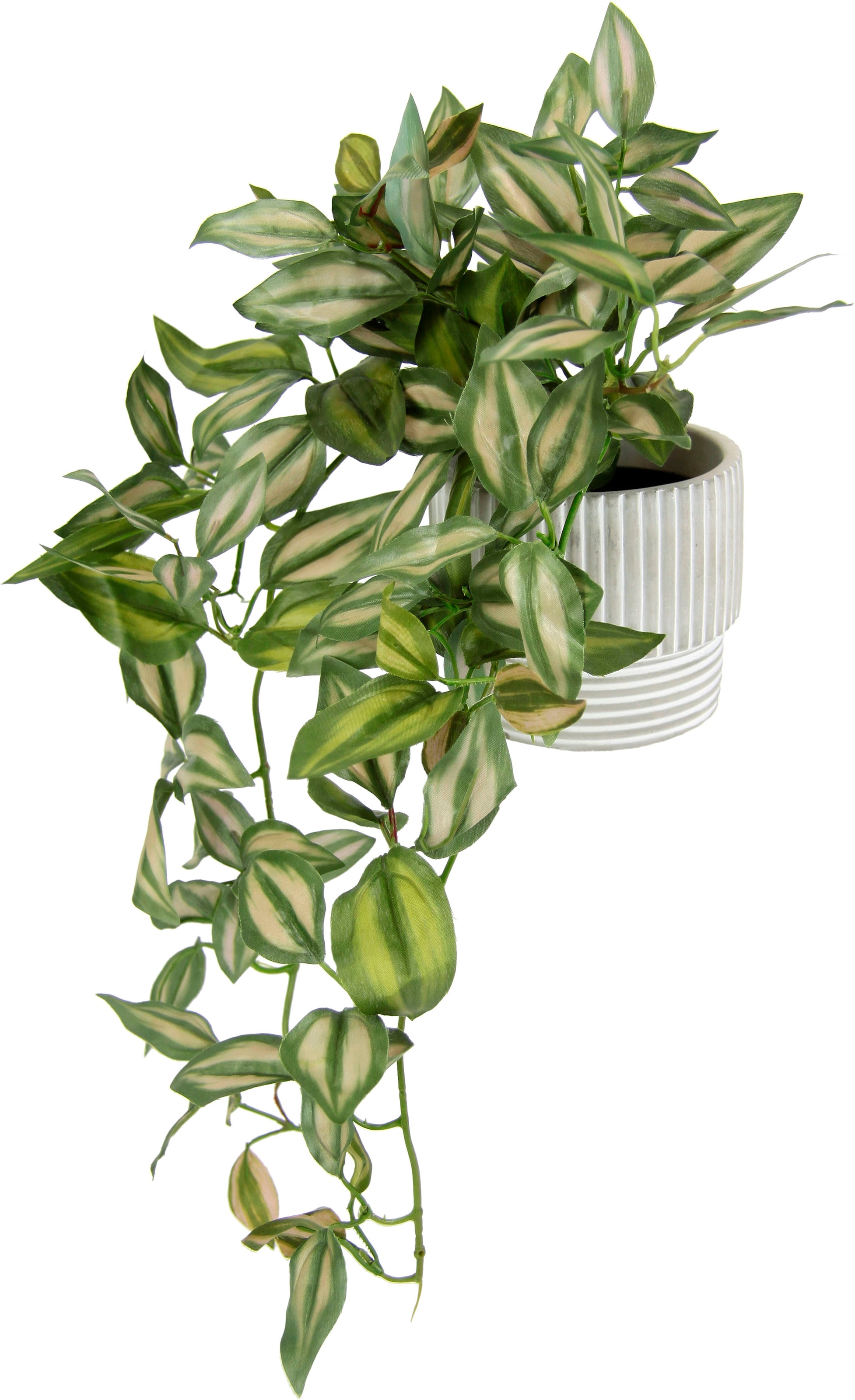 Kunstpflanze Pflanzenampel Kletterpflanze im OTTO Hängepflanze I.GE.A. Shop Kunstpflanze Übertopf »Tradescantiahänger«, Mit Online