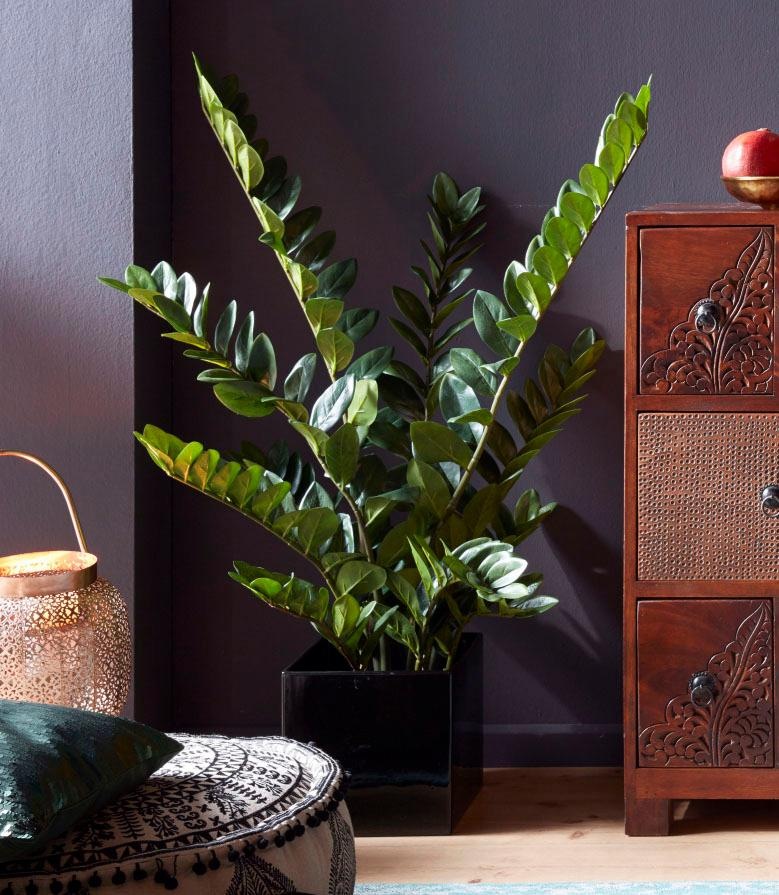 Creativ green Kunstpflanze »Zamifolia«