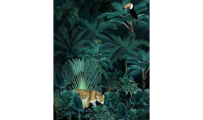 Komar Fototapete »Jungle Night«, bedruckt-floral-natürlich kaufen