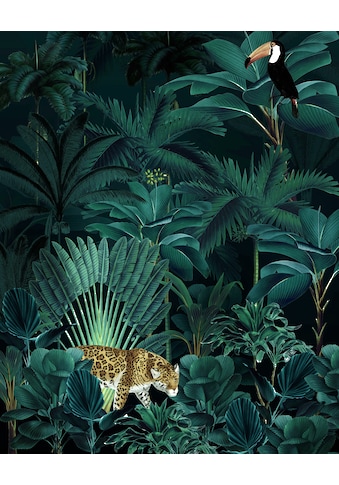 Komar Fototapete »Jungle Night«, bedruckt-floral-natürlich kaufen