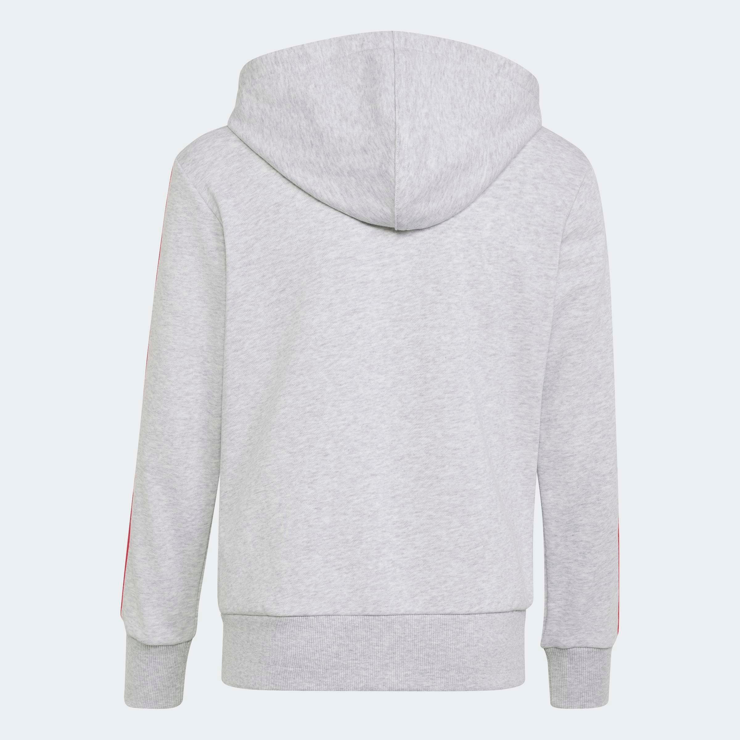adidas Sportswear Kapuzensweatshirt »ESSENTIALS FULL ZIP HOODIE«
