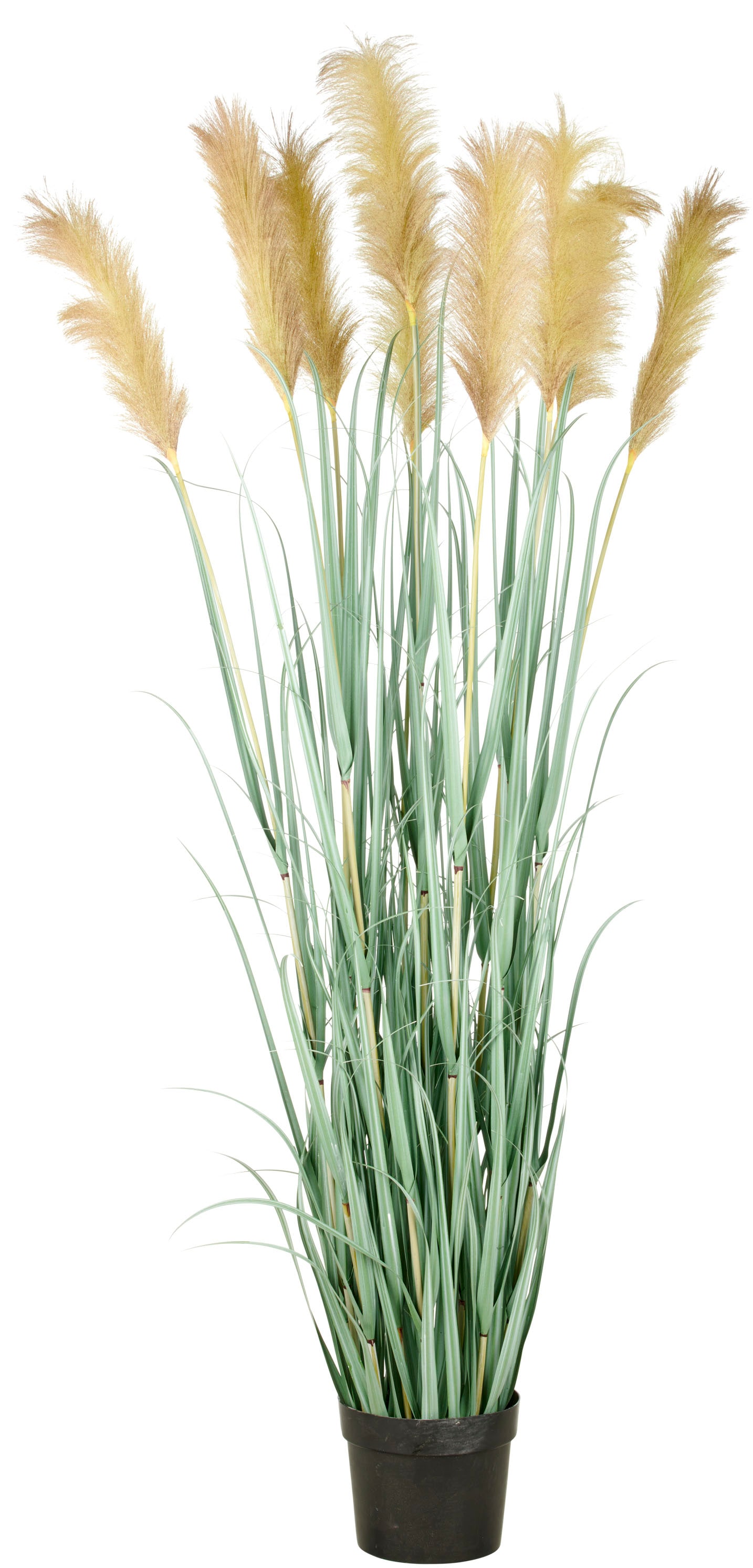 Creativ Green Kunstgras »Grasbusch Cortaderia« in opulenter Größe in grün, Größe B/H/L: 175 cm