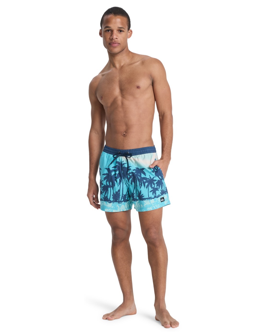 Quiksilver Boardshorts »Everyday Printed Volley 15"«