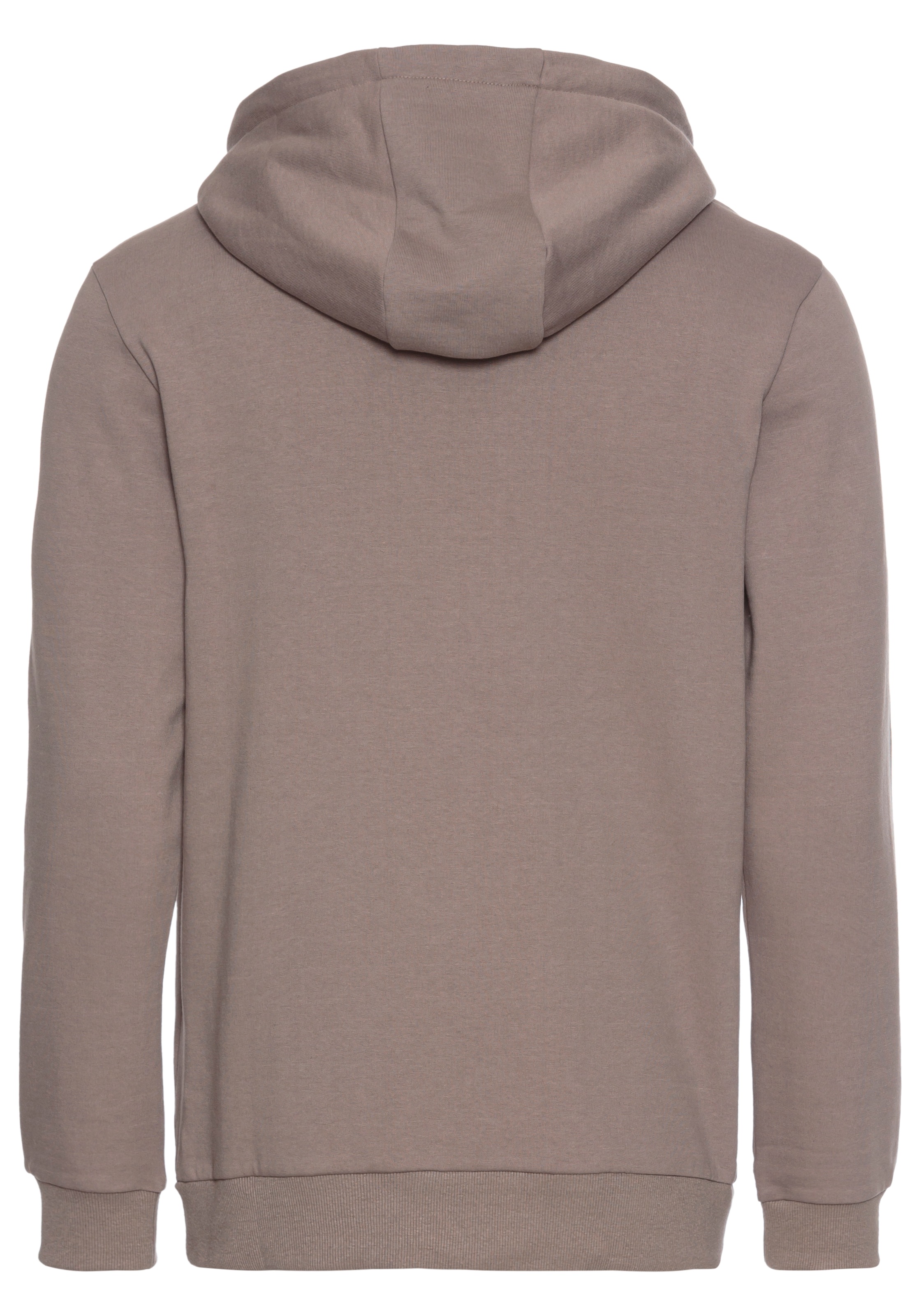 Bruno Banani Kapuzensweatshirt, mit modernem Logodruck
