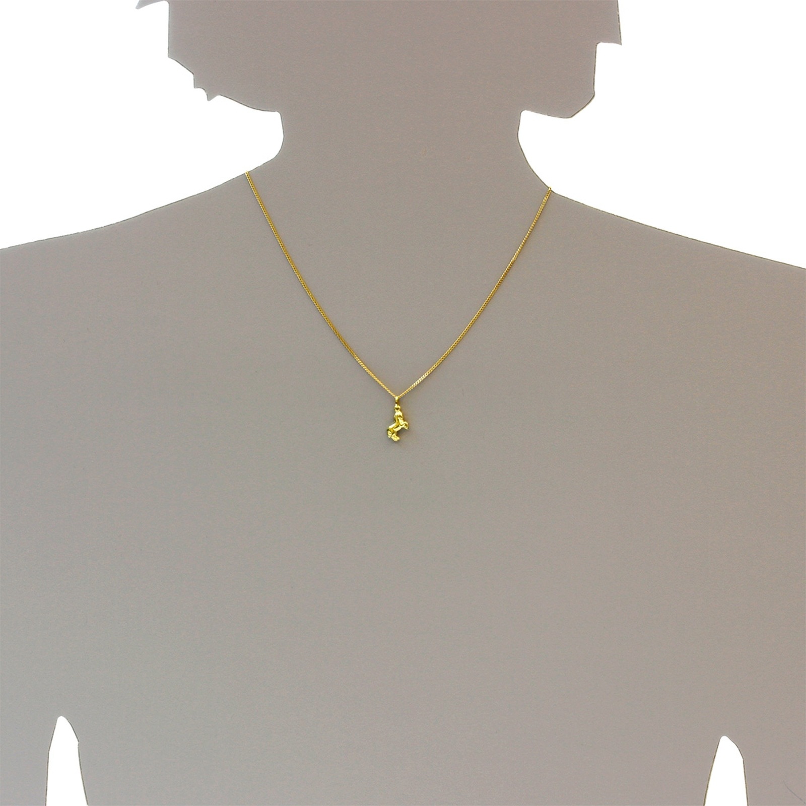 OSTSEE-SCHMUCK Kette und Anhänger Set »- Pferd - Gold 333/000 -,«