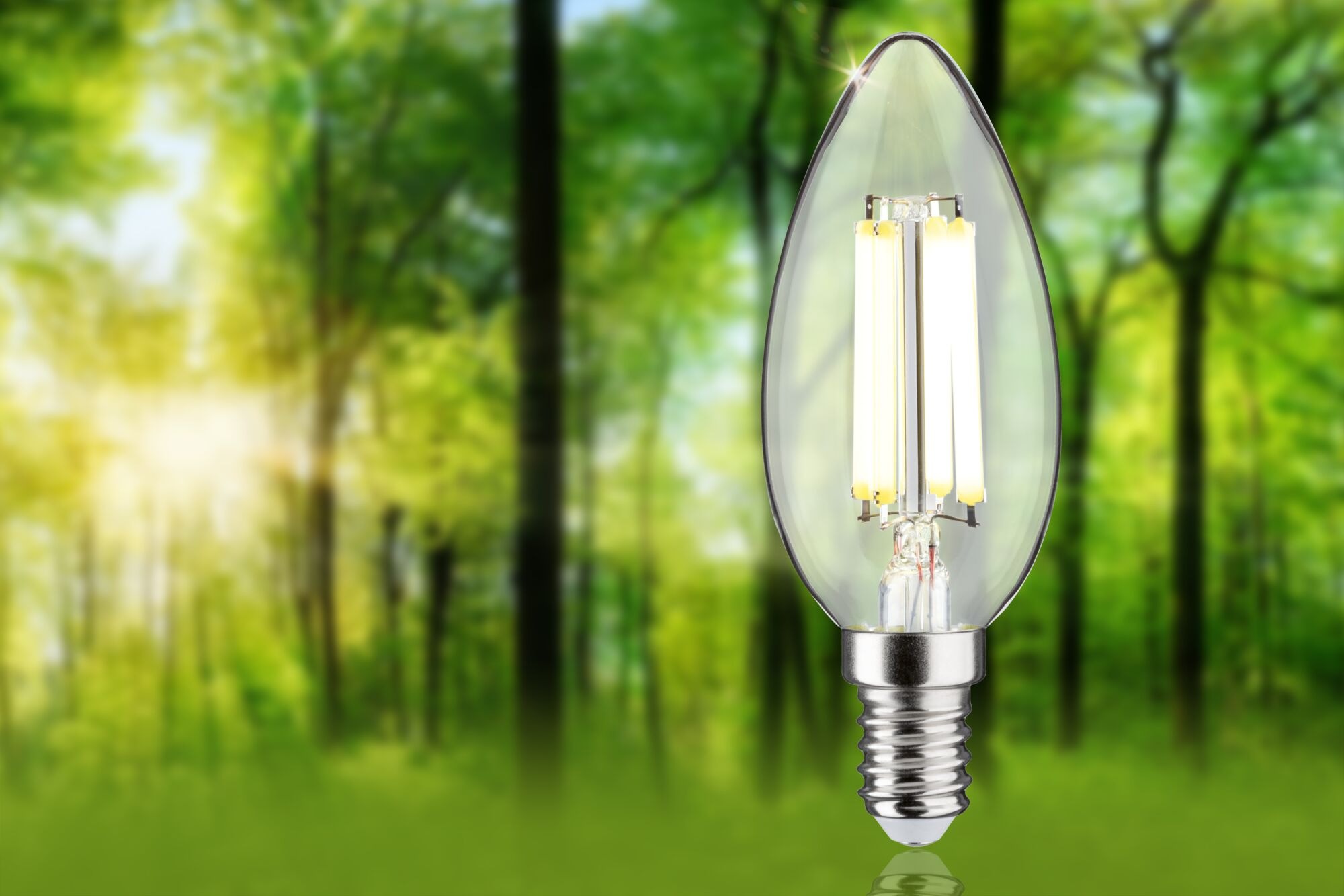 Paulmann LED-Leuchtmittel »Eco-Line Filament 230V LED Kerze E14 1er-Set 525lm 2,5W 4000K  Klar« E14 1 Stk. Neutralweiß