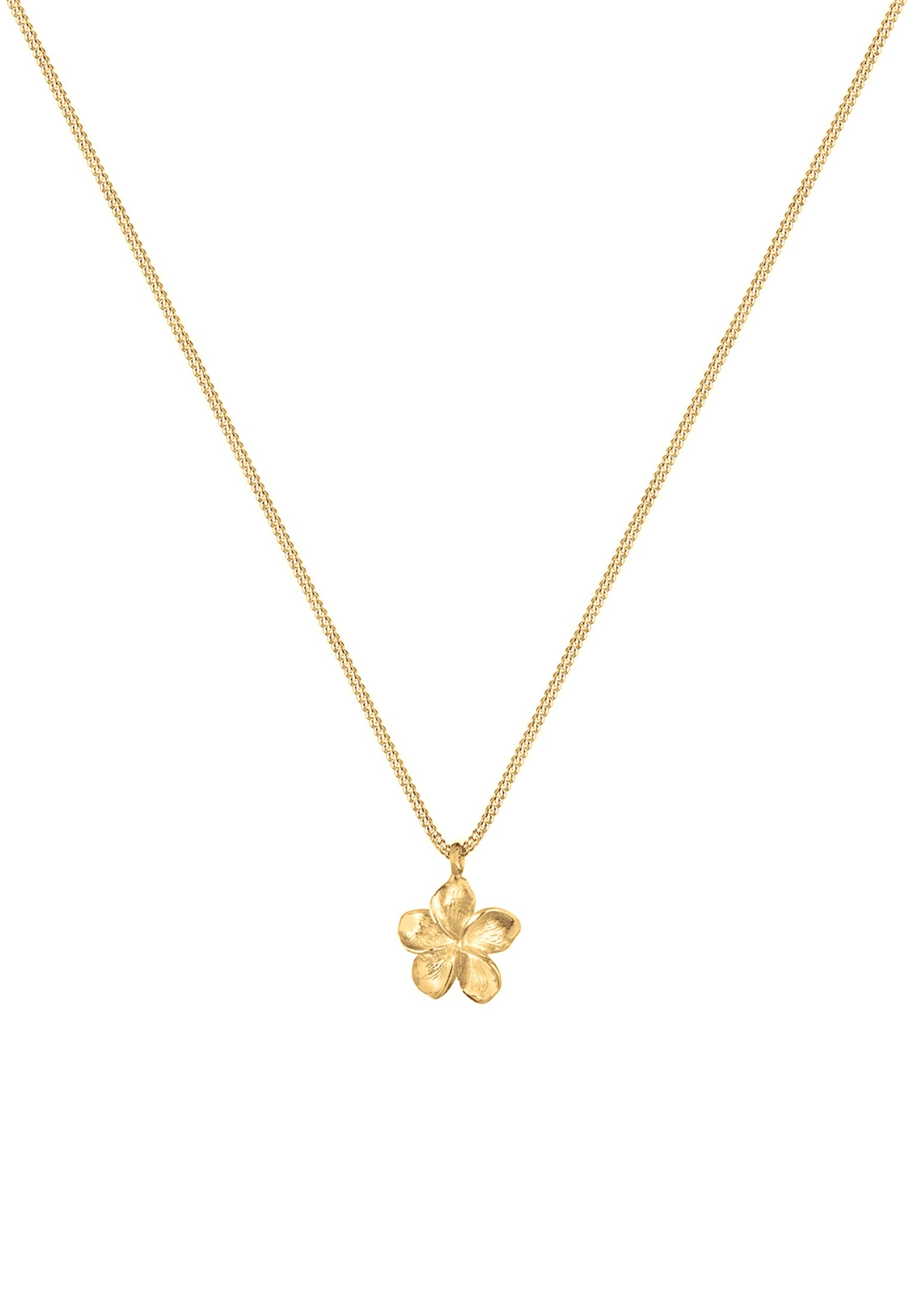 Elli Kette mit Anhänger »Halskette Frangipani Blüte 925 Silber«