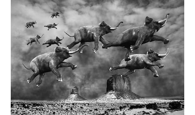 Papermoon Fototapete »Surreale fliegende Elefanten«, Vliestapete, hochwertiger... kaufen