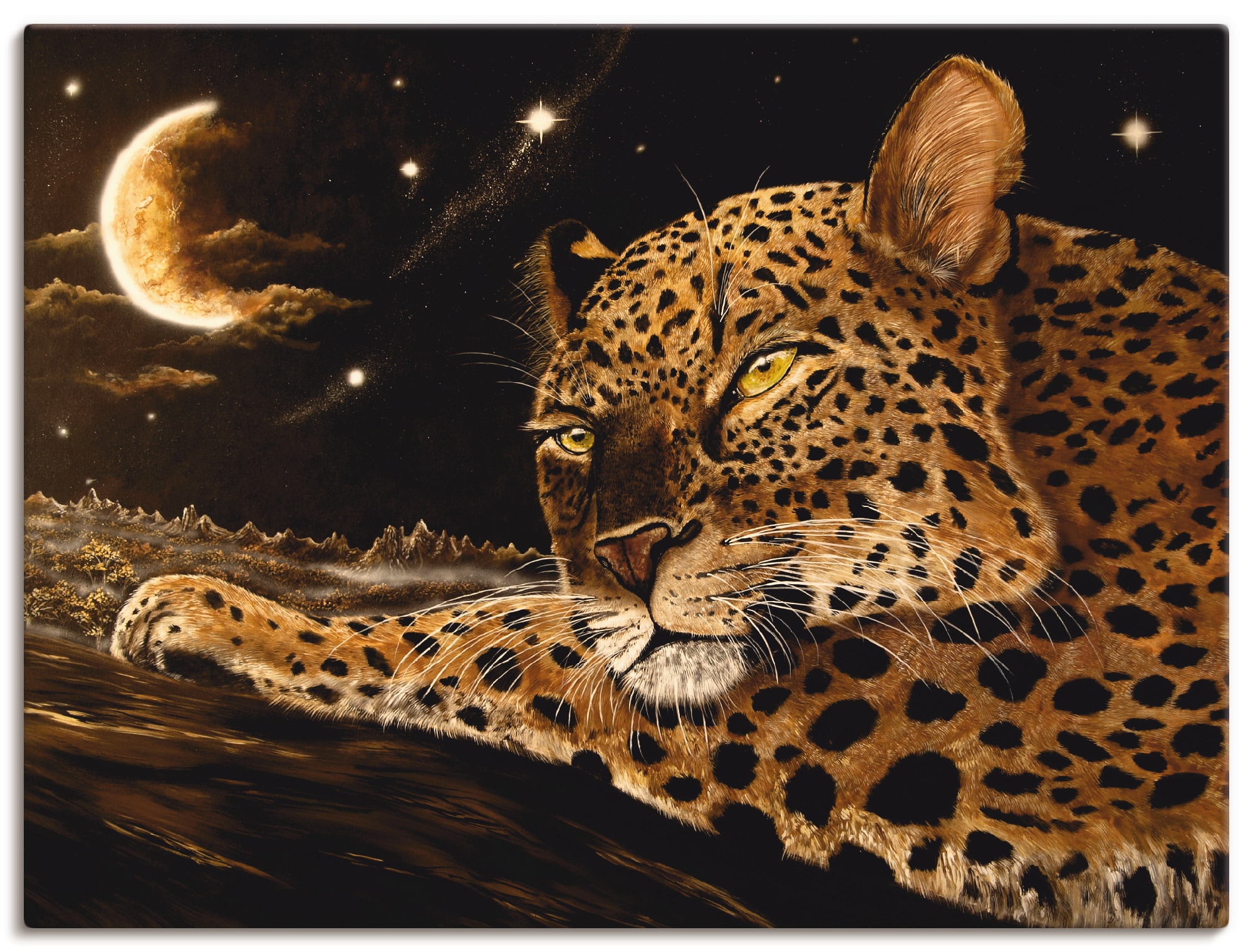 Artland Wandbild »China Leopard«, Wildtiere, (1 St.), in vielen Größen & Produktarten - Alubild / Outdoorbild für den Außenbereich, Leinwandbild, Poster, Wandaufkleber / Wandtattoo auch für Badezimmer geeignet