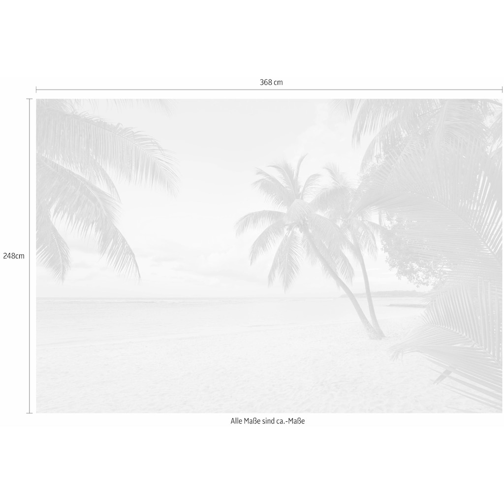 Komar Vliestapete »Paradise Morning«, 368x248 cm (Breite x Höhe), inklusive Kleister