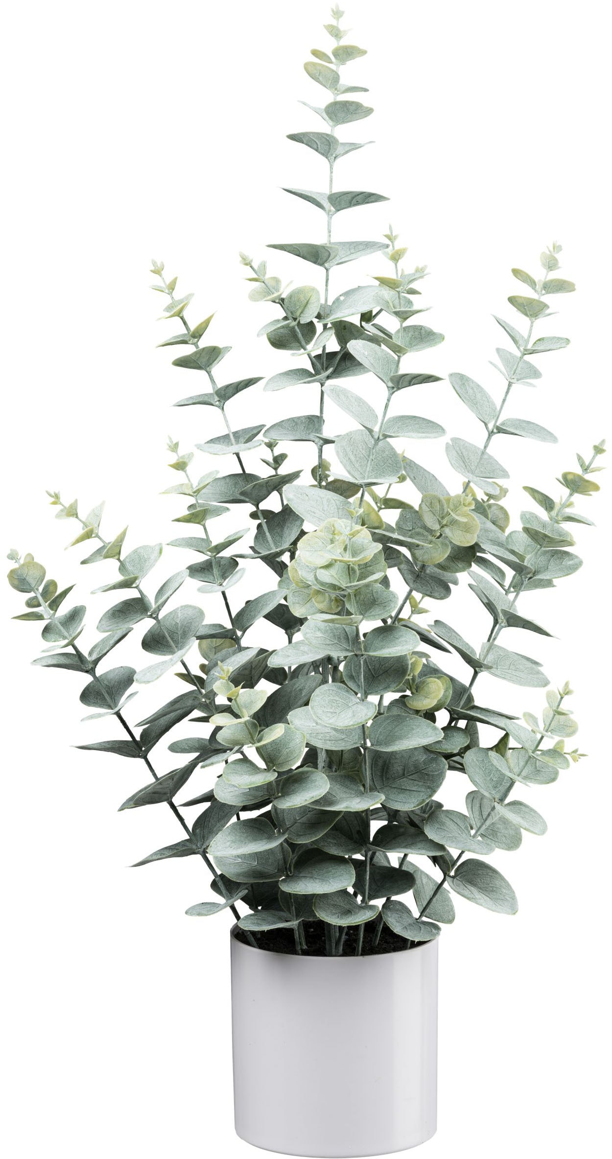 Creativ green Kunstpflanze »Eukalyptus« mit üppigem Blattwerk