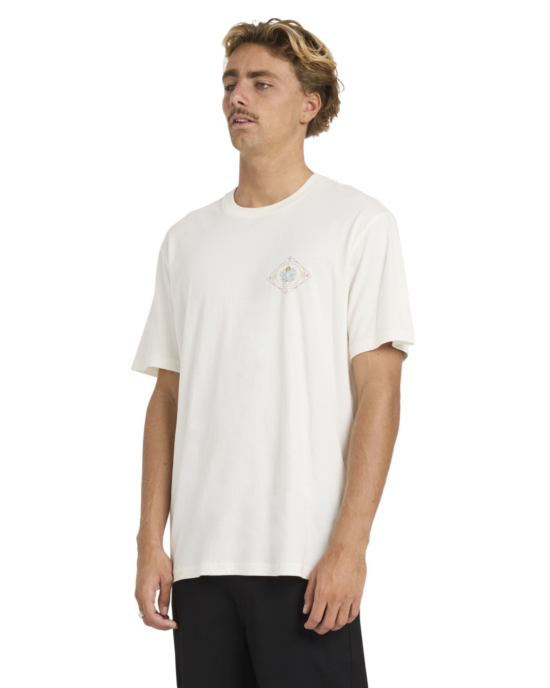 Billabong T-Shirt »Agave A/DIV Premium«