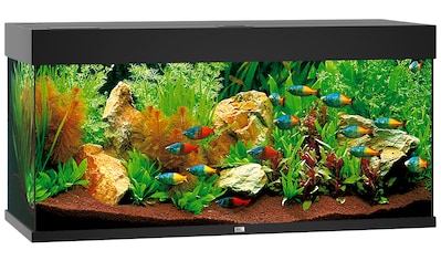JUWEL AQUARIEN Aquarium »Rio 180 LED«, BxTxH: 101x41x50 cm, 180 l kaufen