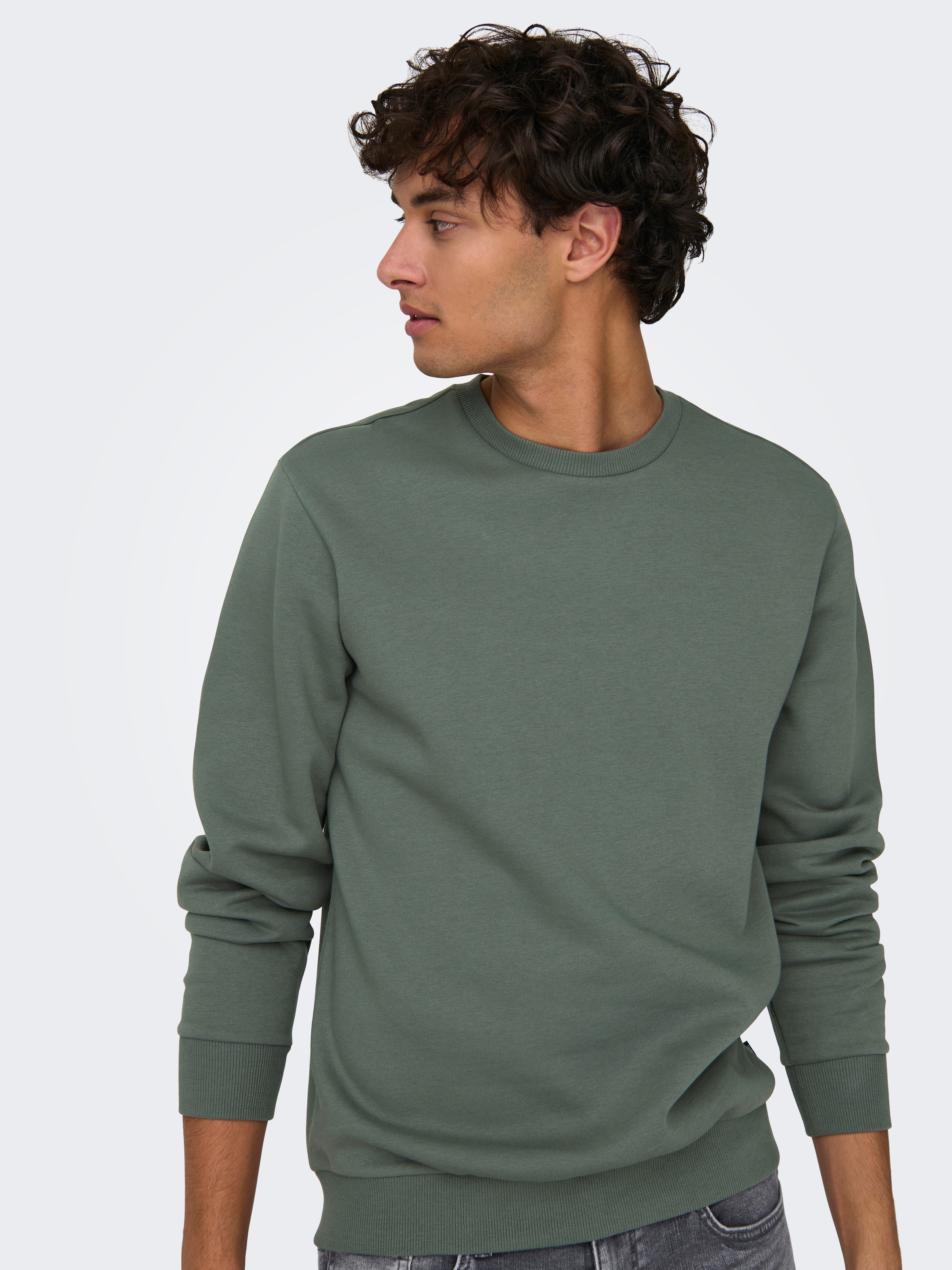 ONLY & SONS Sweatshirt »ONSCERES CREW NECK NOOS«
