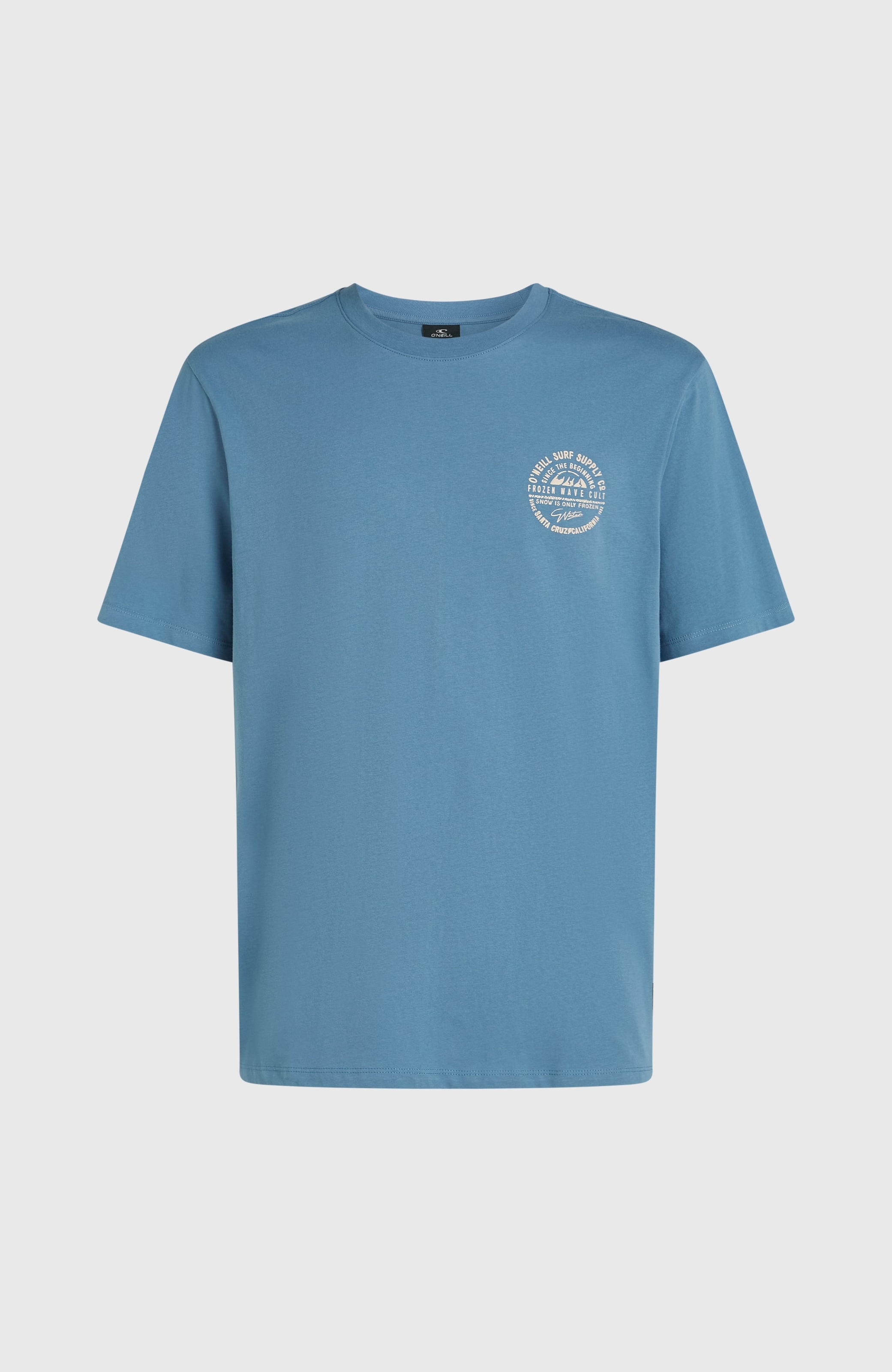 O'Neill T-Shirt »O'NEILL CHEST PRINT T-SHIRT«, (1 tlg.)