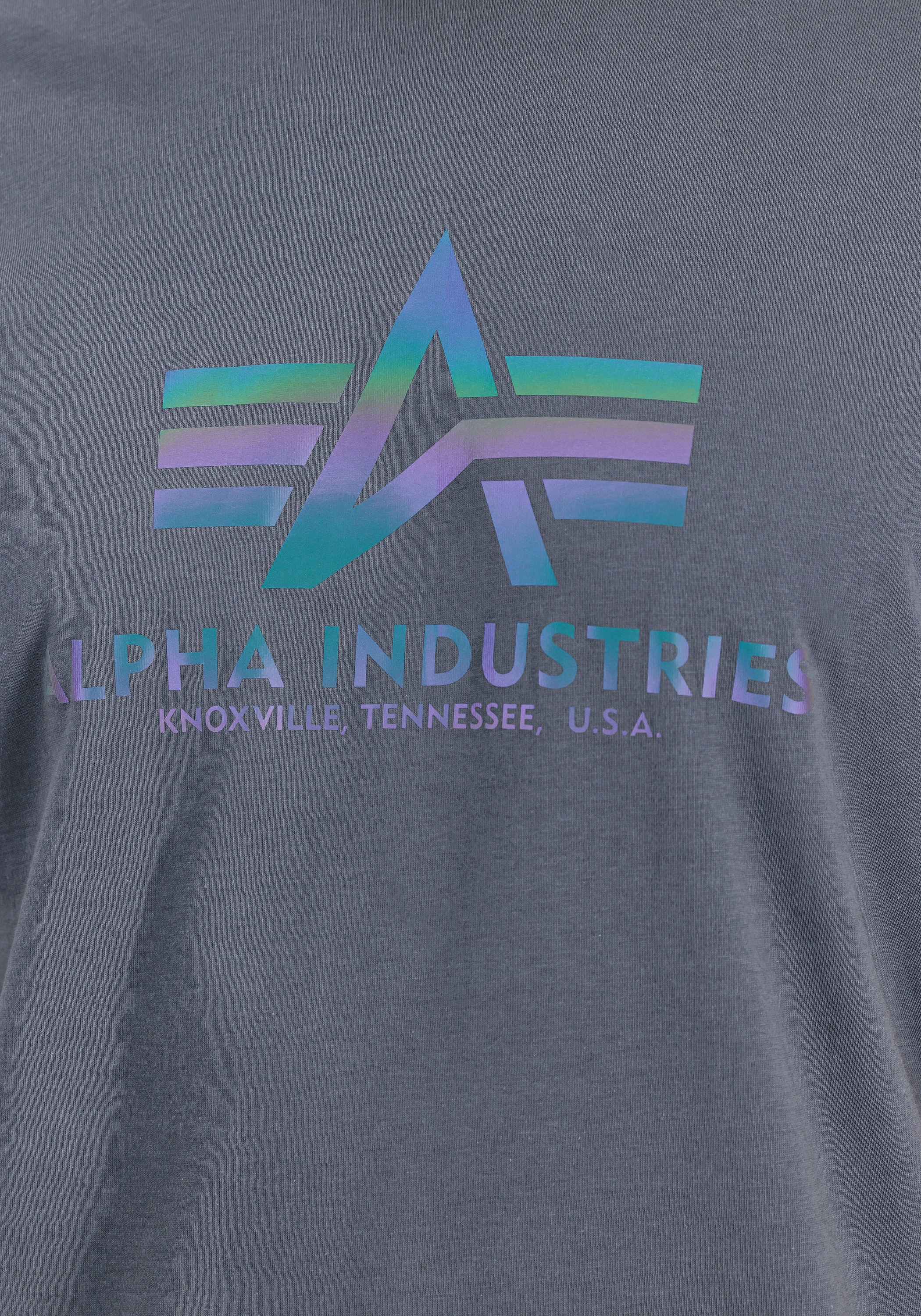 Alpha Industries T-Shirt »Basic T-Shirt BL Rainbow Ref.«