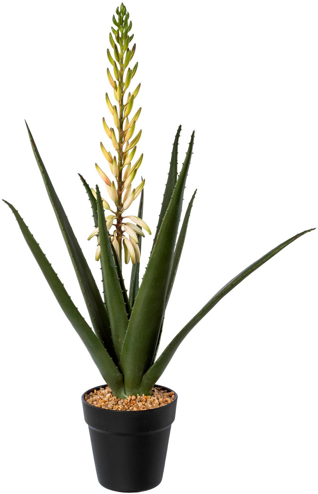 Creativ green Künstliche Zimmerpflanze »Aloe mit Blüte im Topf« bestellen  online bei OTTO