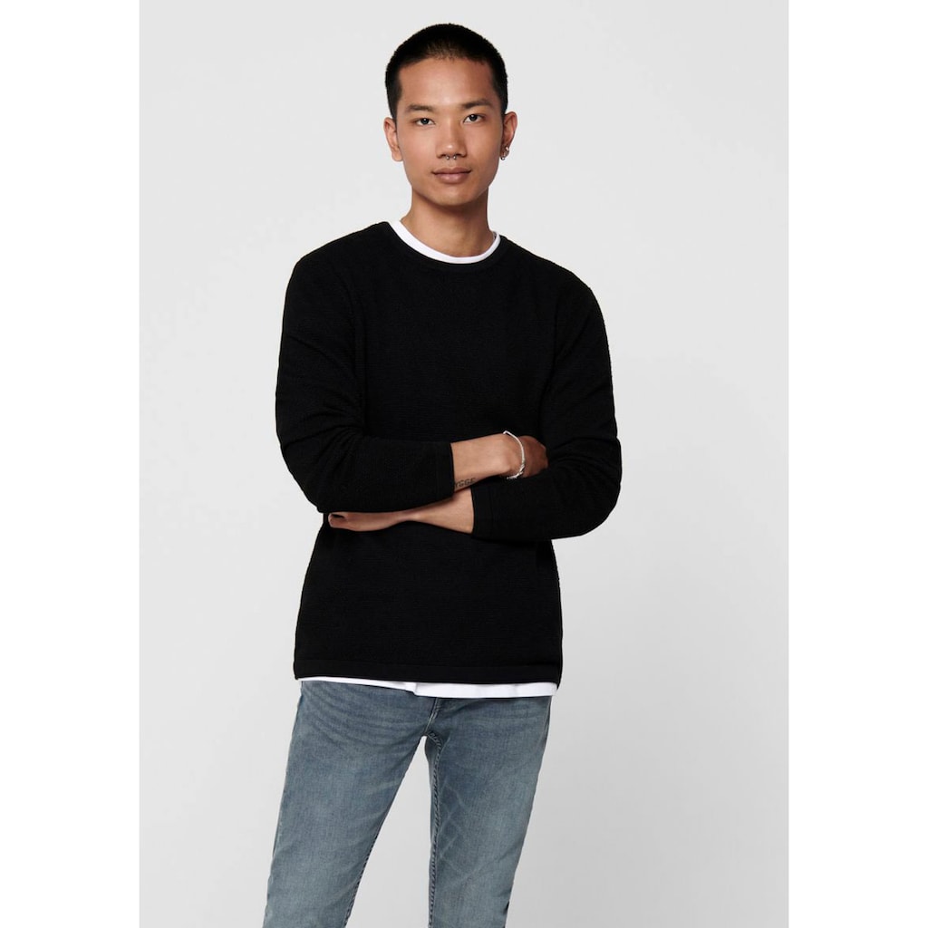 ONLY & SONS Rundhalspullover »PANTER 12 STRUC CREW NECK KNIT«