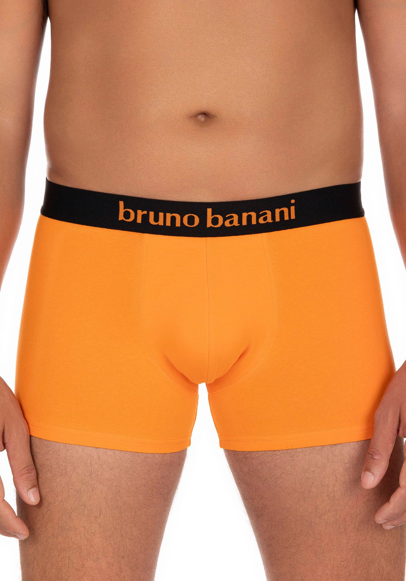 Bruno Banani Boxer, (2er Pack), mit kontrastreichem Logobund