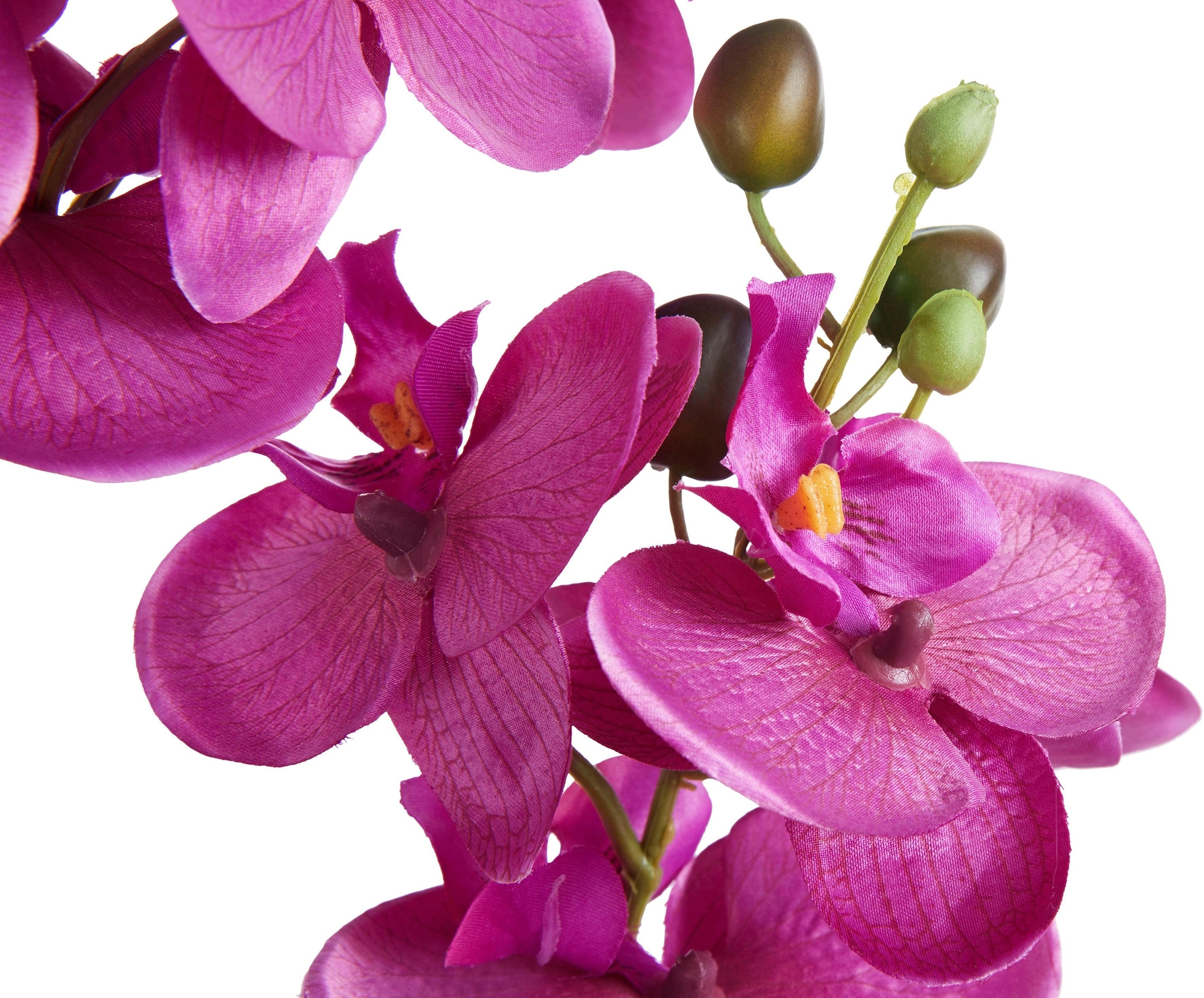 Creativ green Kunstpflanze »Orchidee«, (1 bestellen St.) OTTO bei