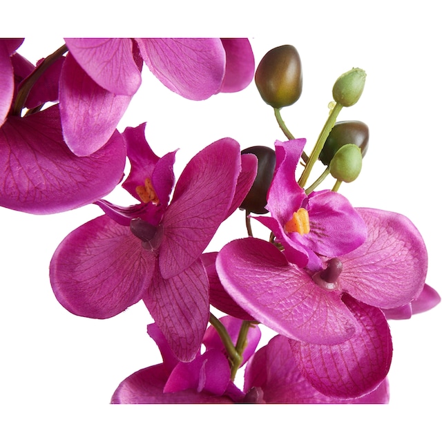 Creativ green Kunstpflanze »Orchidee«, (1 St.) bestellen bei OTTO