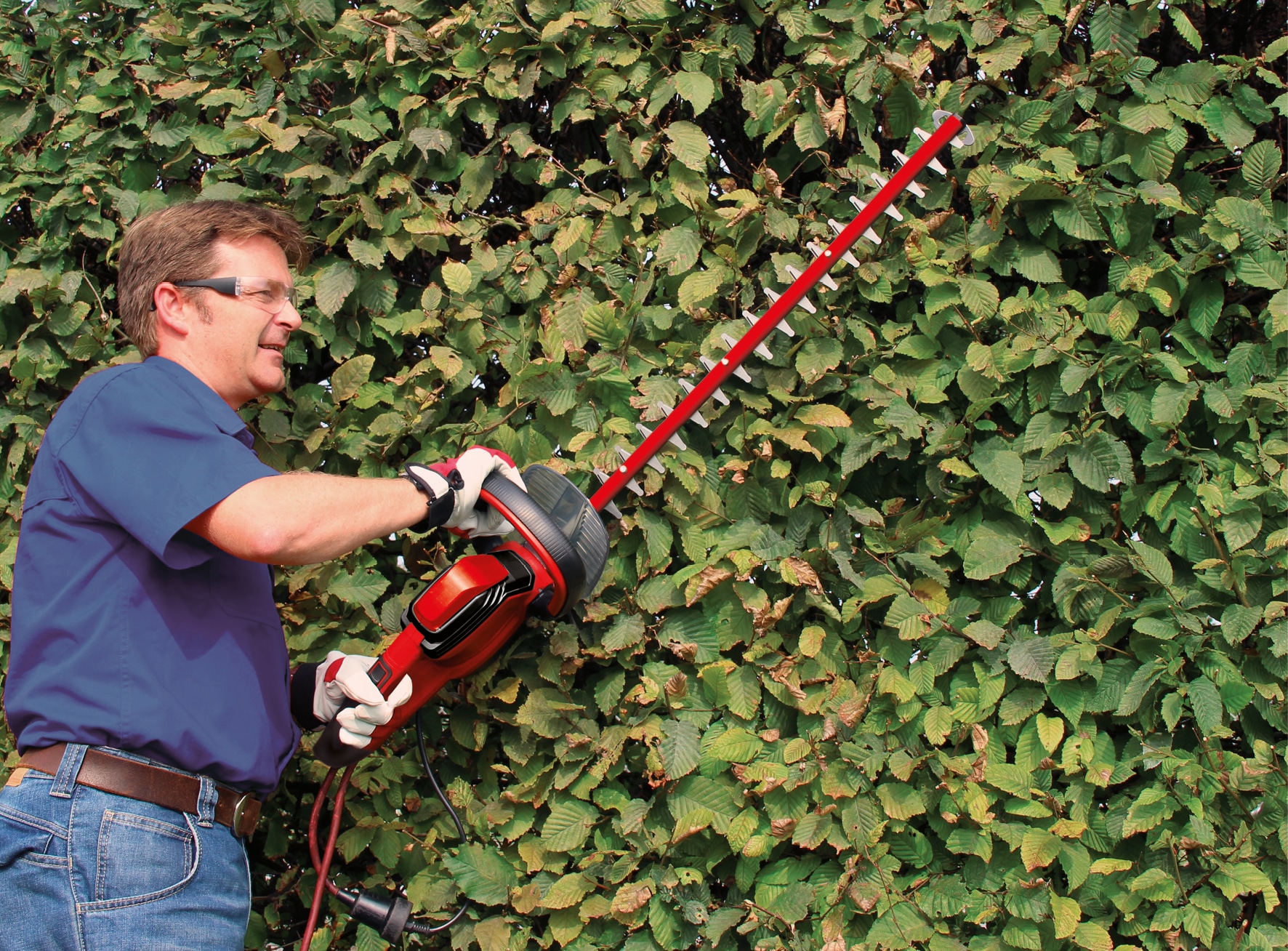 Einhell Elektro-Heckenschere »Einhell Elektro-Heckenschere GC-EH 6055/1«, (1 St.)