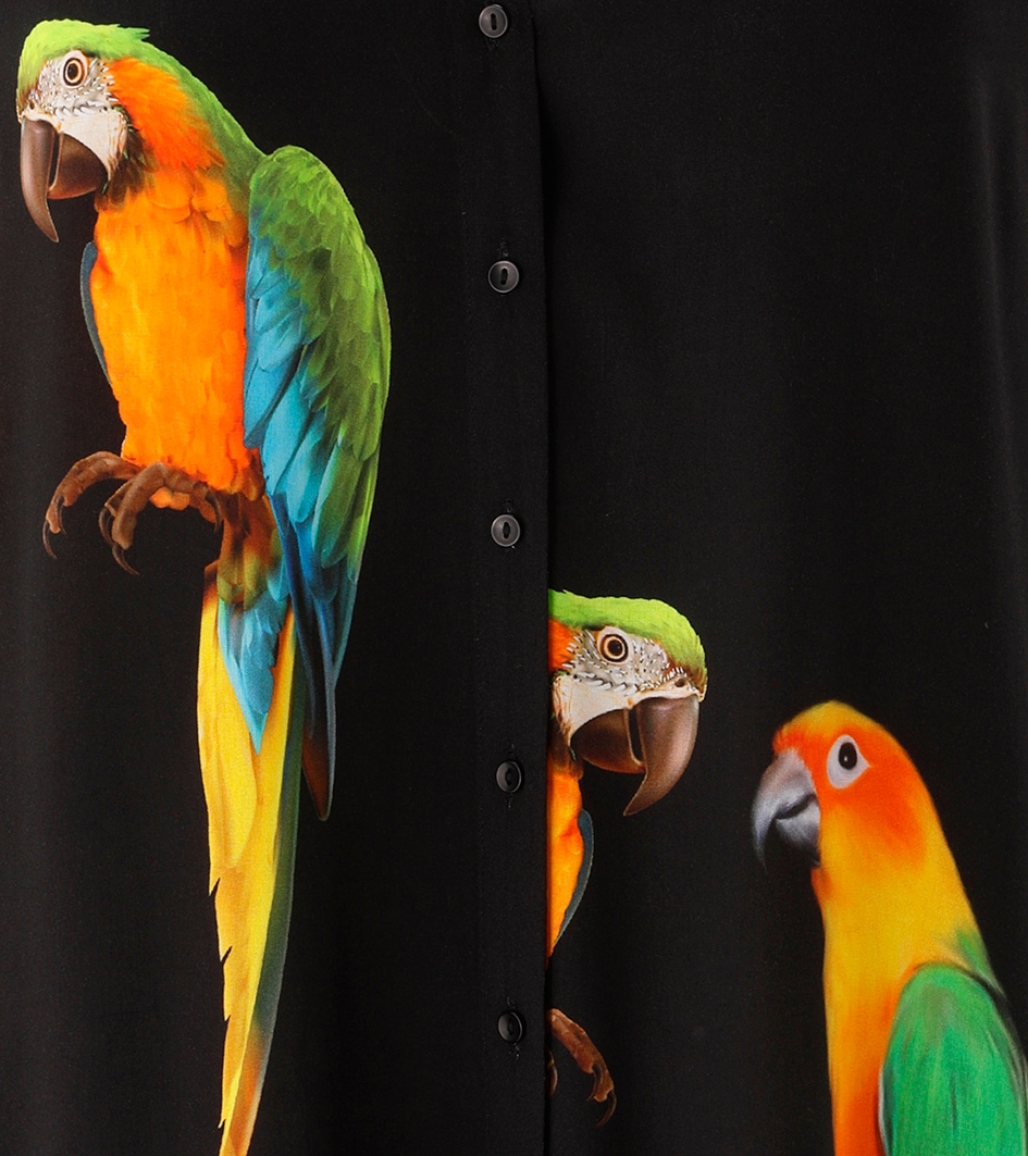 Aniston PLUS Longbluse Mit ausgefallenen Papgeien Druck - NEUE KOLLEKTION