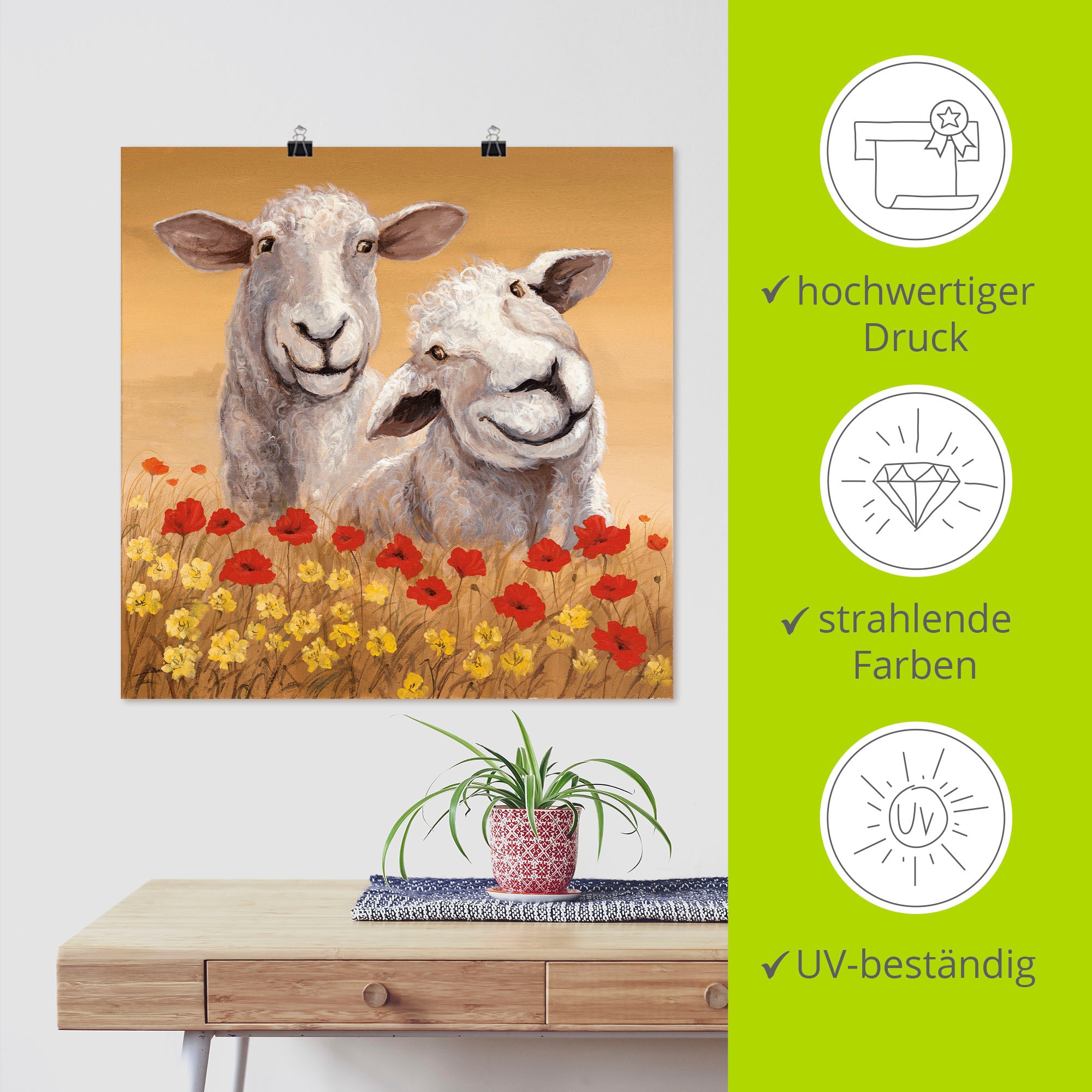 Artland Poster »Schafe« Haustiere 1 Stk. tlg. ohne Rahmen