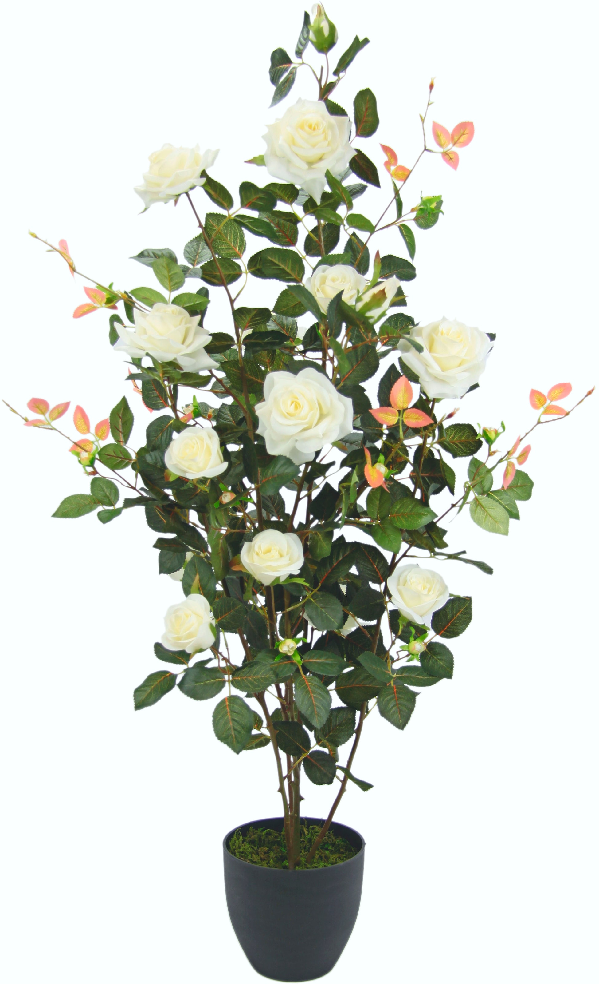 I.GE.A. Kunstbaum »Rosenbusch im Rosenstrauch online Hochzeit OTTO St.), bei kaufen Topf«, Kunstpflanzen Kunstrosen Deko (1