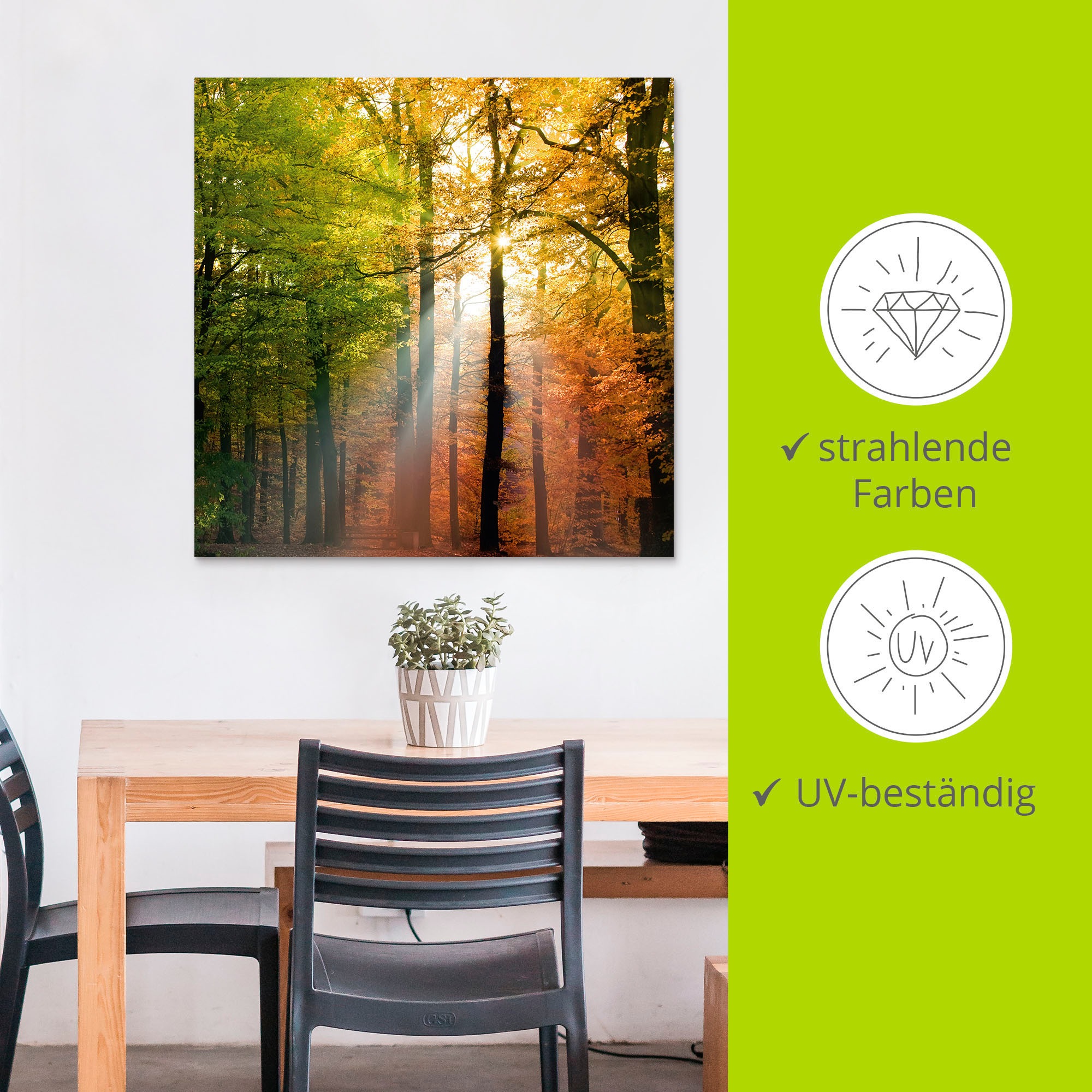 Artland Wandbild »Schöner Herbsttag 2«, Wald, (1 St.), als Alubild, Outdoorbild, Leinwandbild, Poster in verschied. Größen