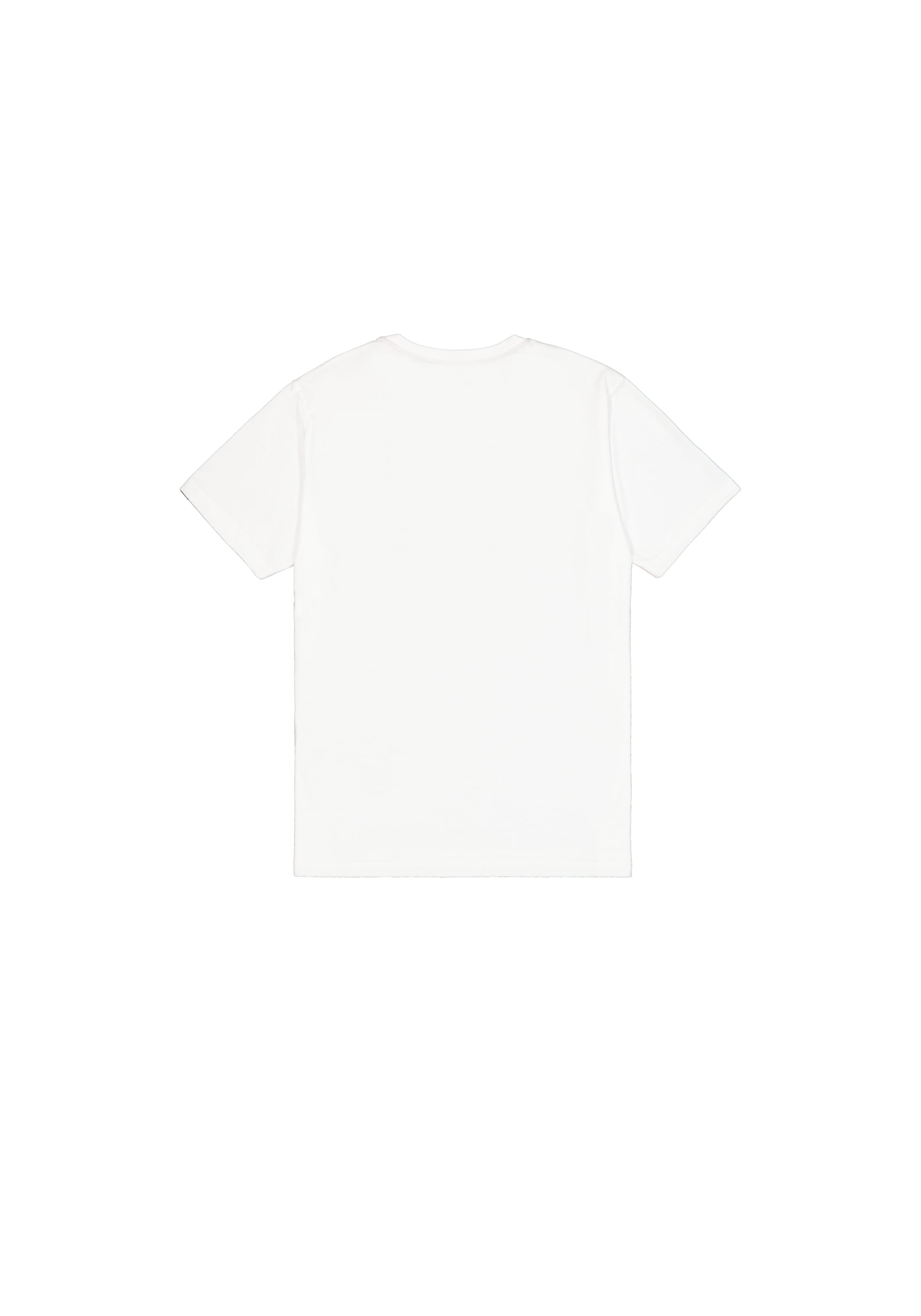 Alpha Industries T-Shirt »Basic T-Shirt BL Ripstop«
