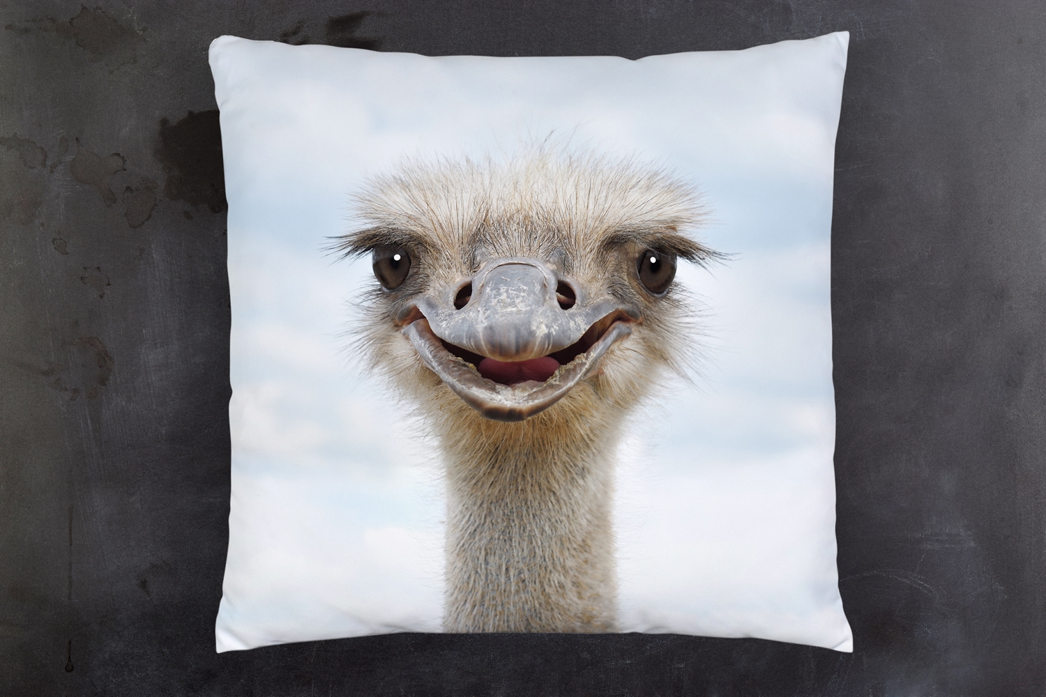 queence Dekokissen »Vogelstrauß«, Kissenhülle mit HD Premium Druck, geruchsneutral, 40x40cm